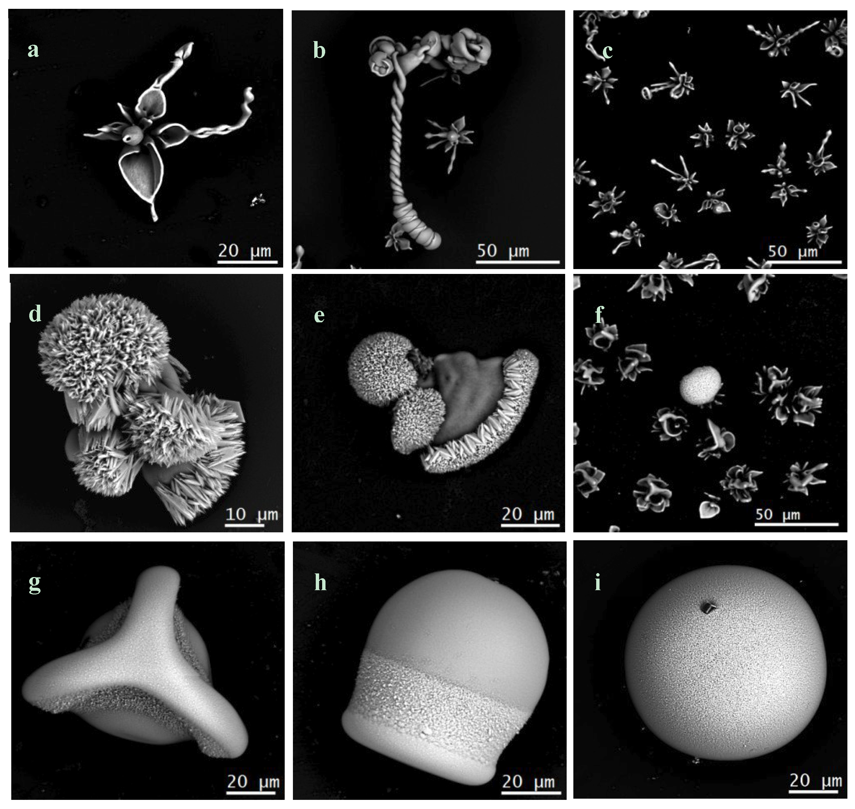 Crystals 09 00067 g005 Crystals 09 00067 g005