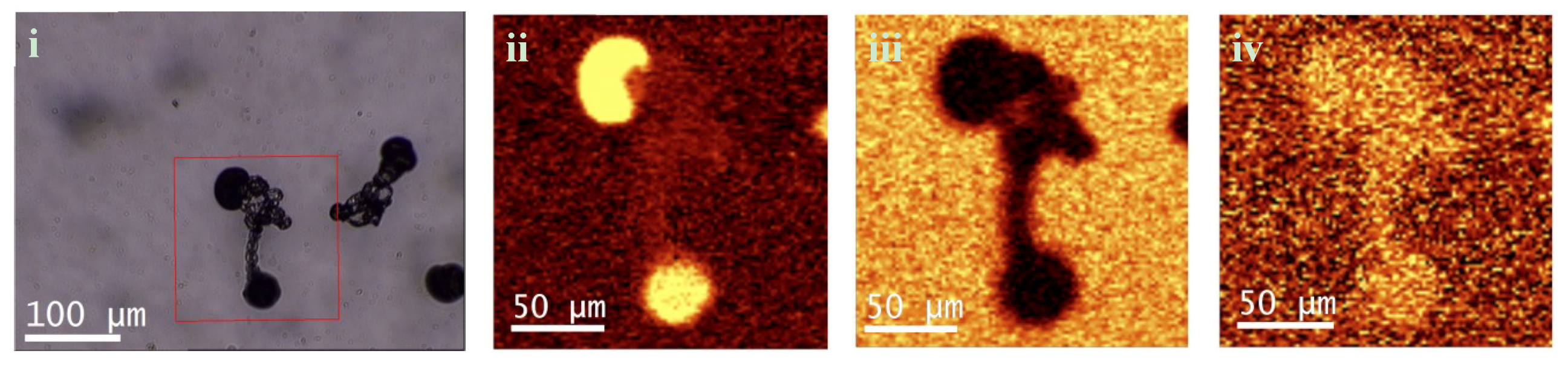 Crystals 09 00067 g008 Crystals 09 00067 g008