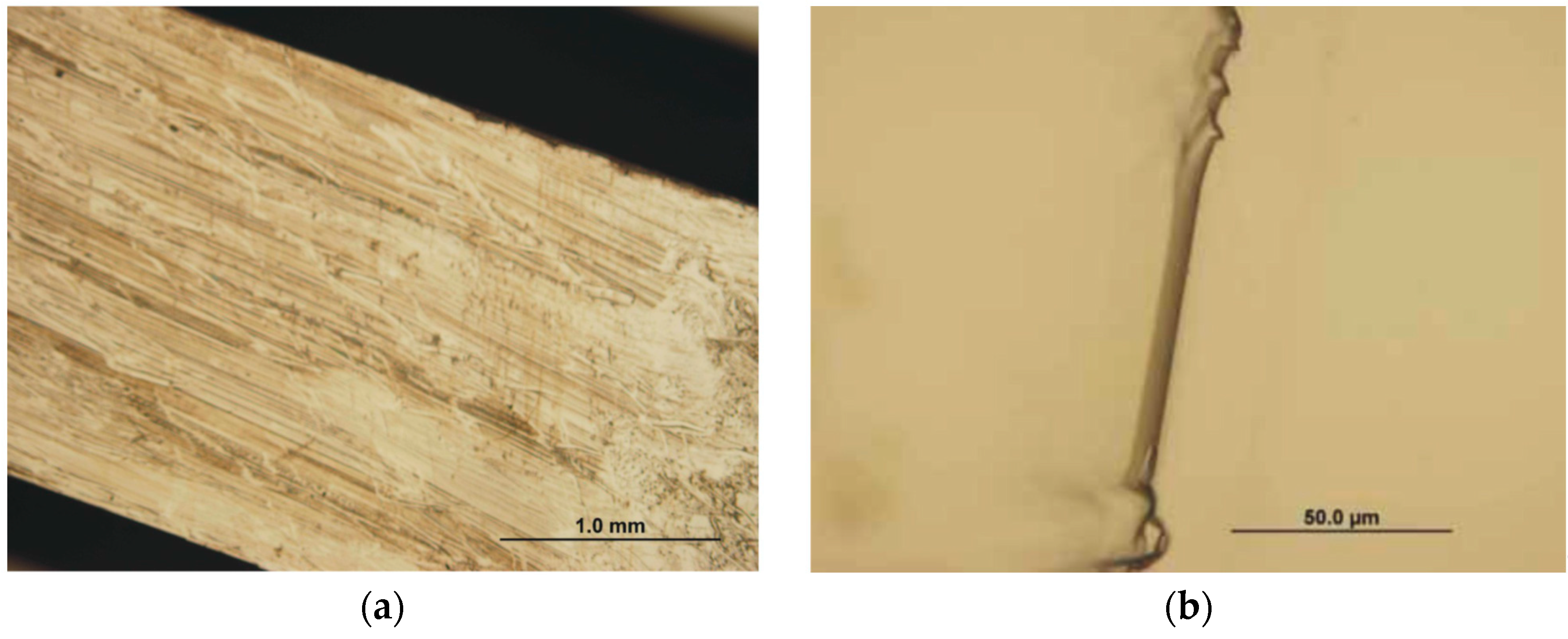 Crystals 09 00079 g005