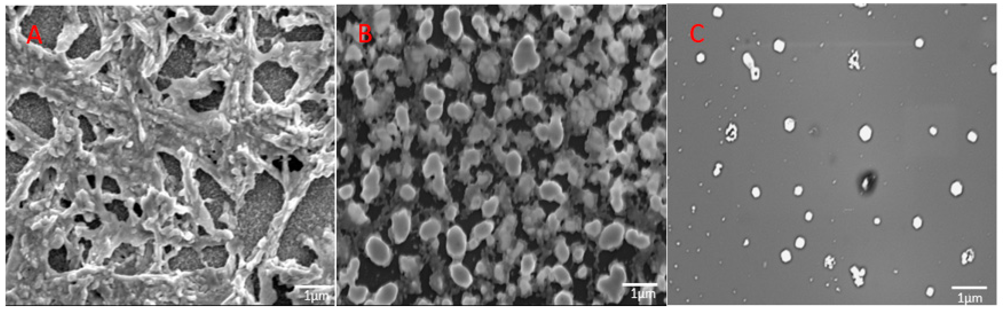 Crystals 09 00083 g006