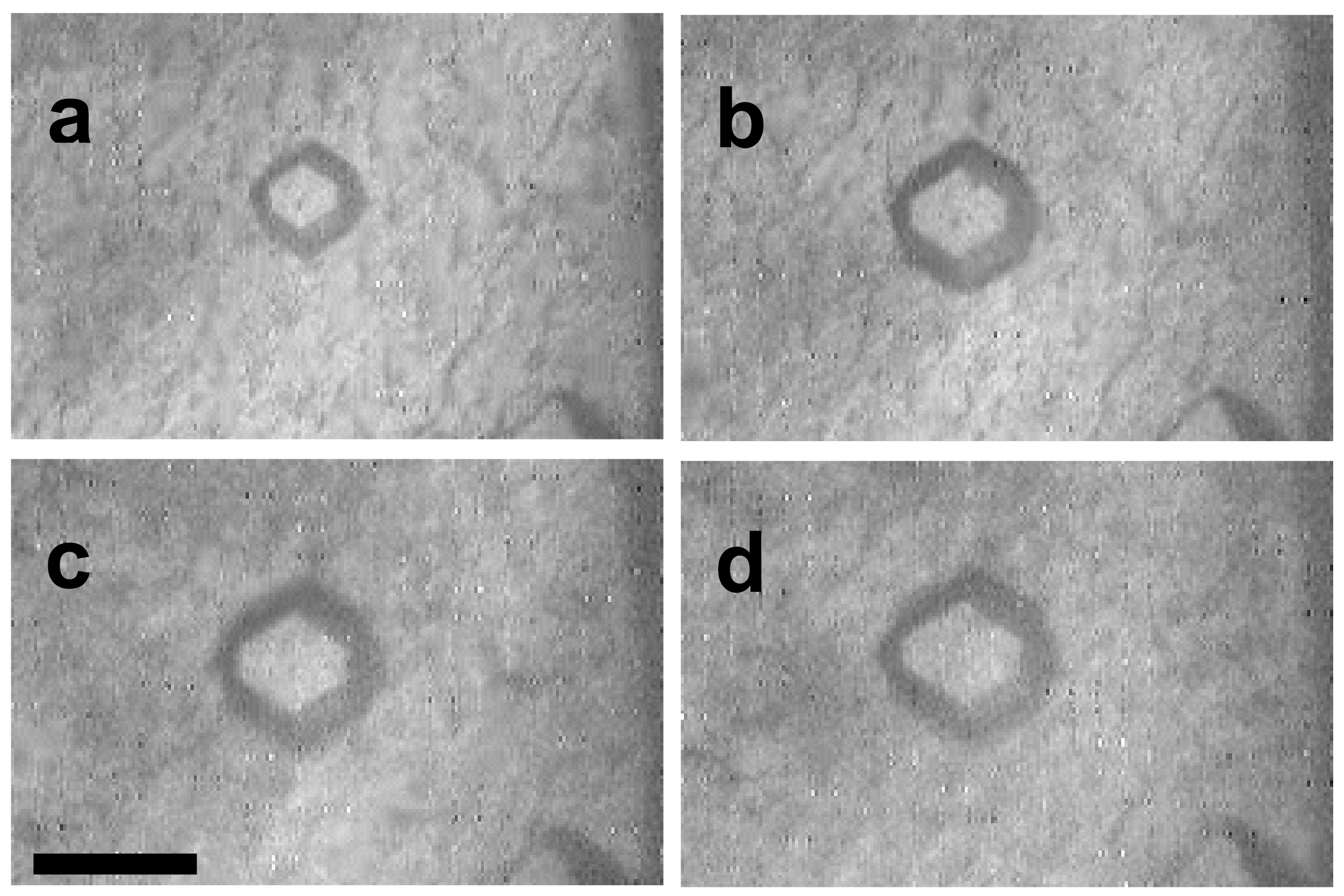 Crystals 09 00090 g002