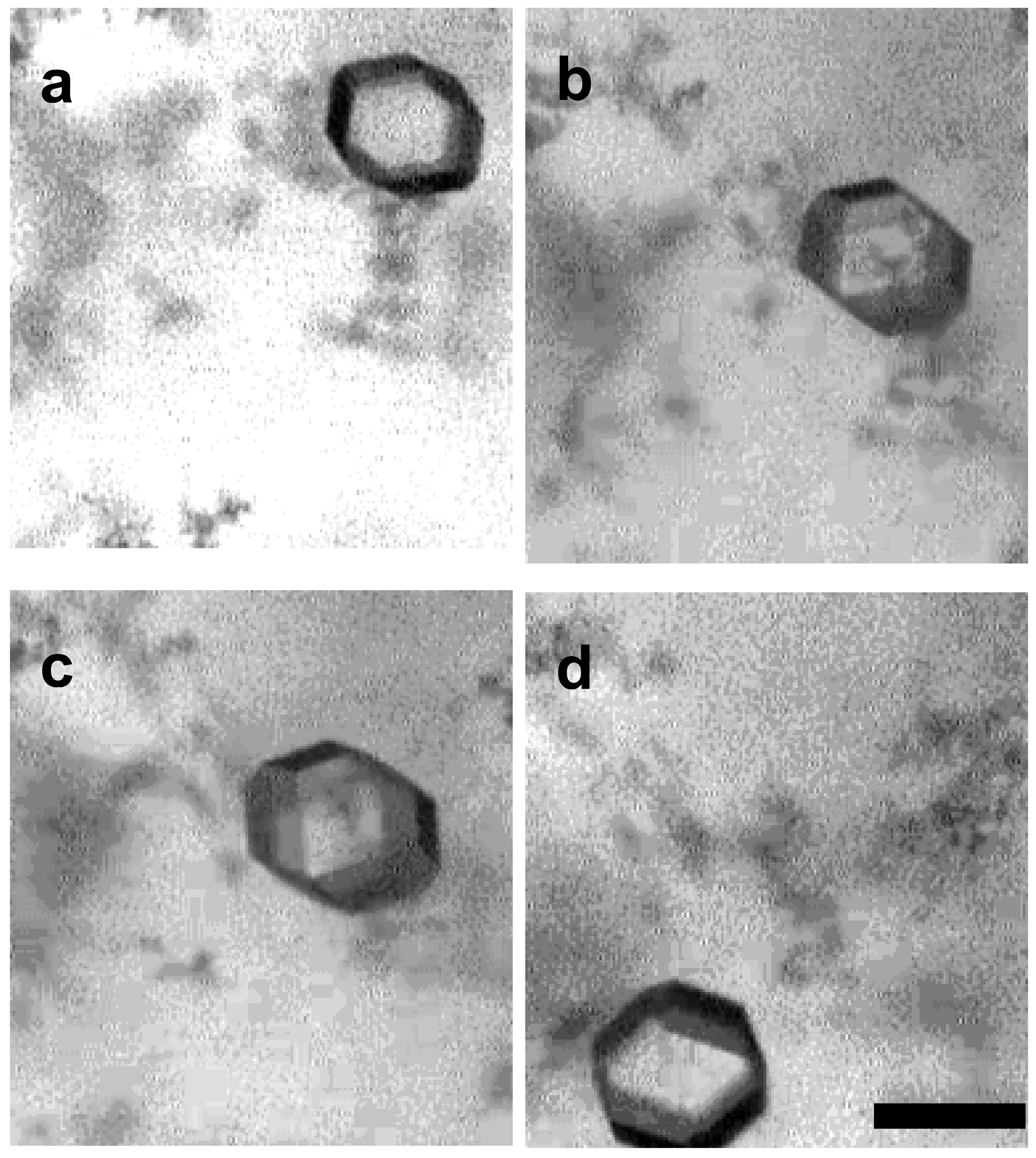 Crystals 09 00090 g004