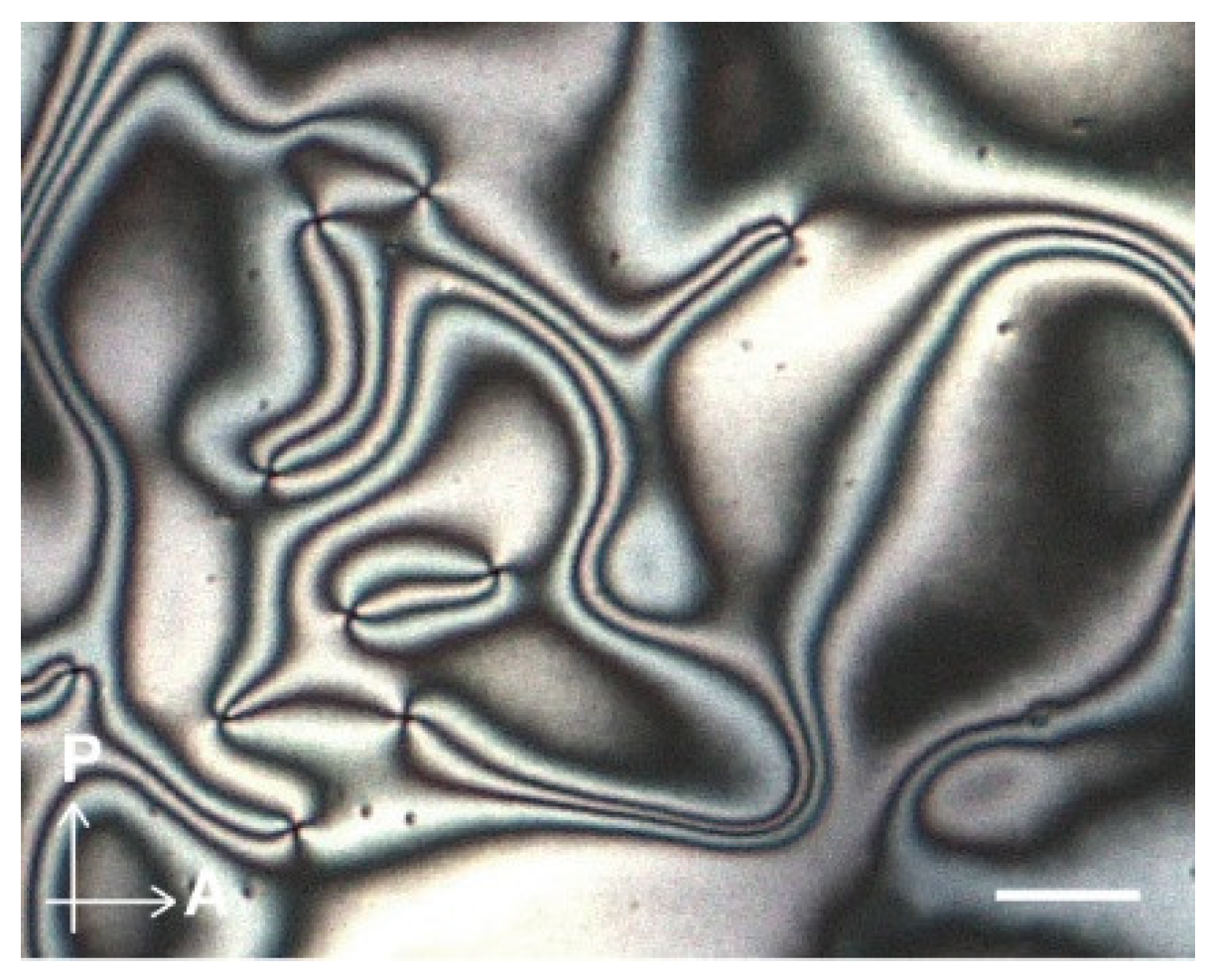 Crystals 09 00092 g002