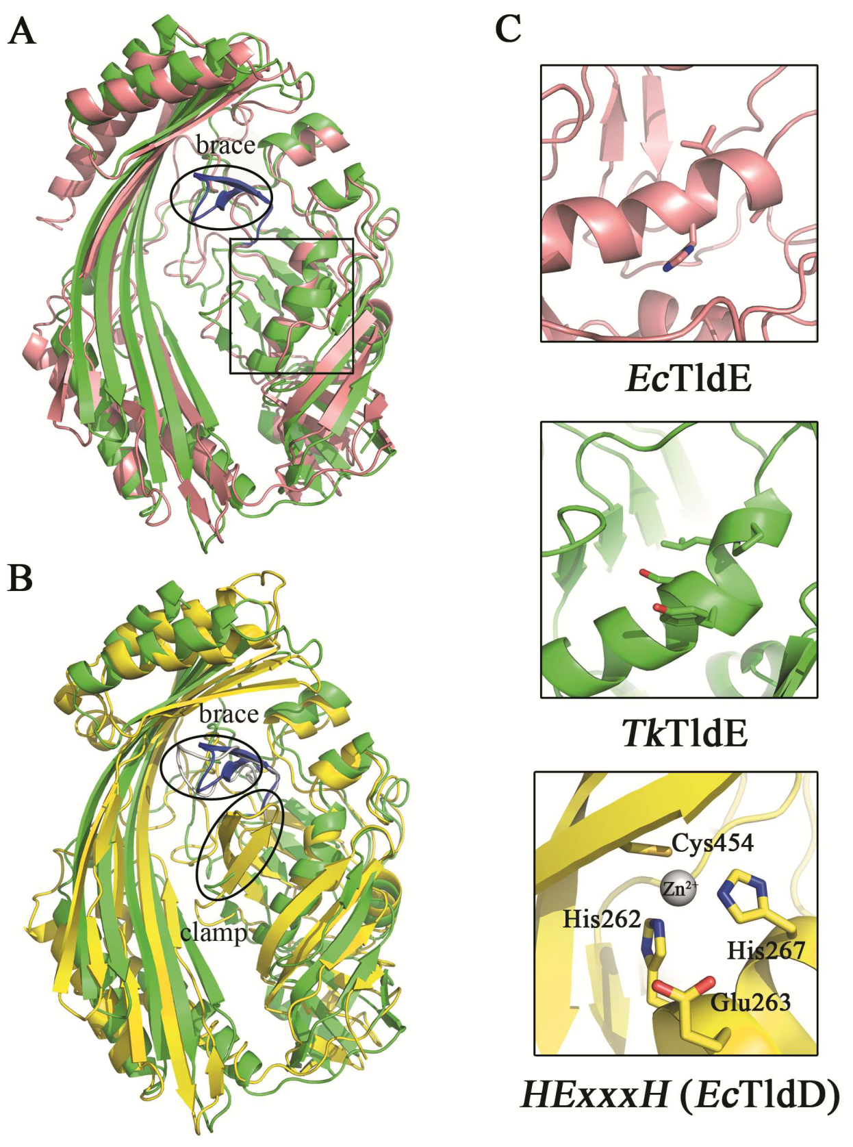 Crystals 09 00107 g004