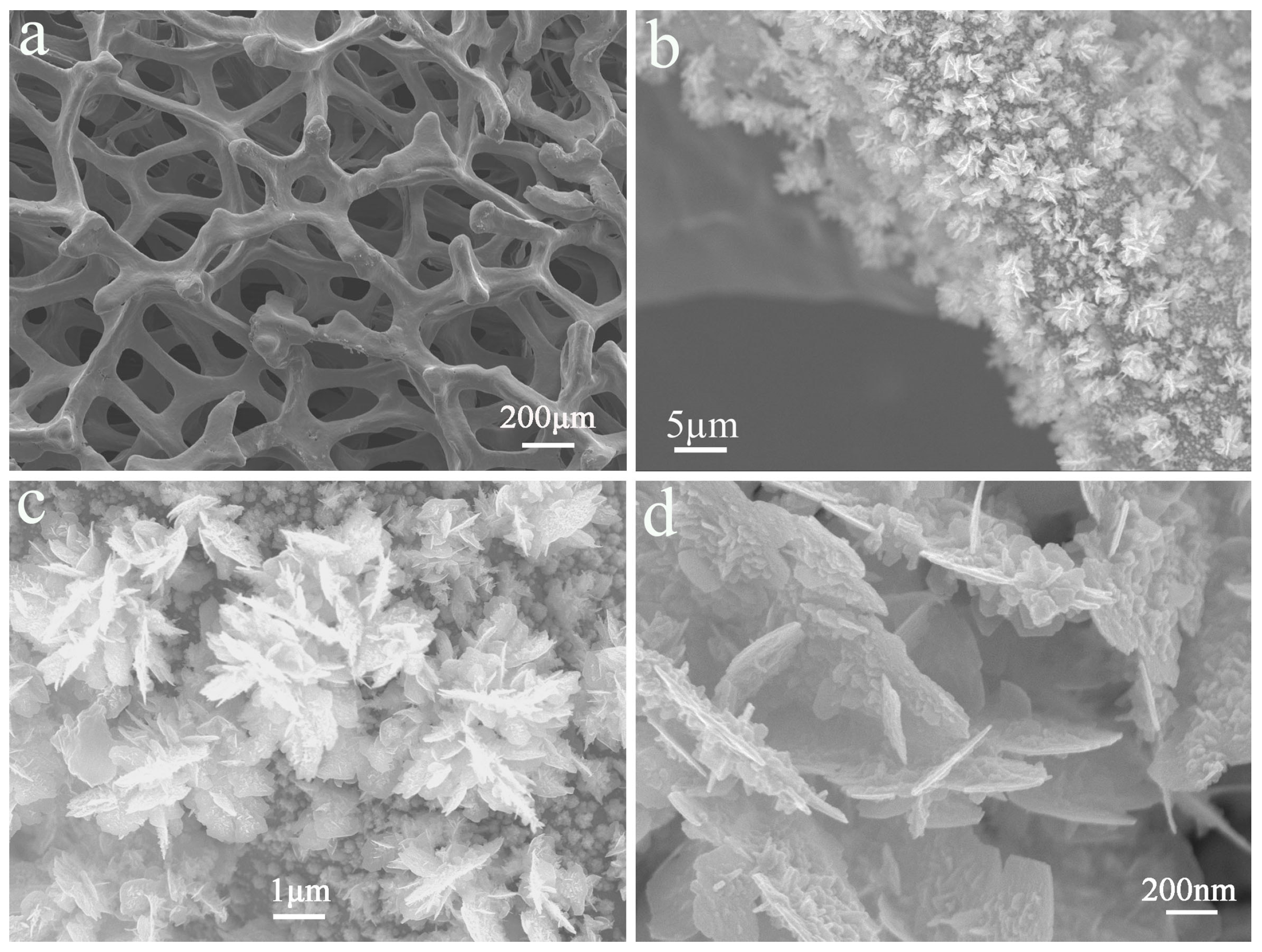 Crystals 09 00118 g001