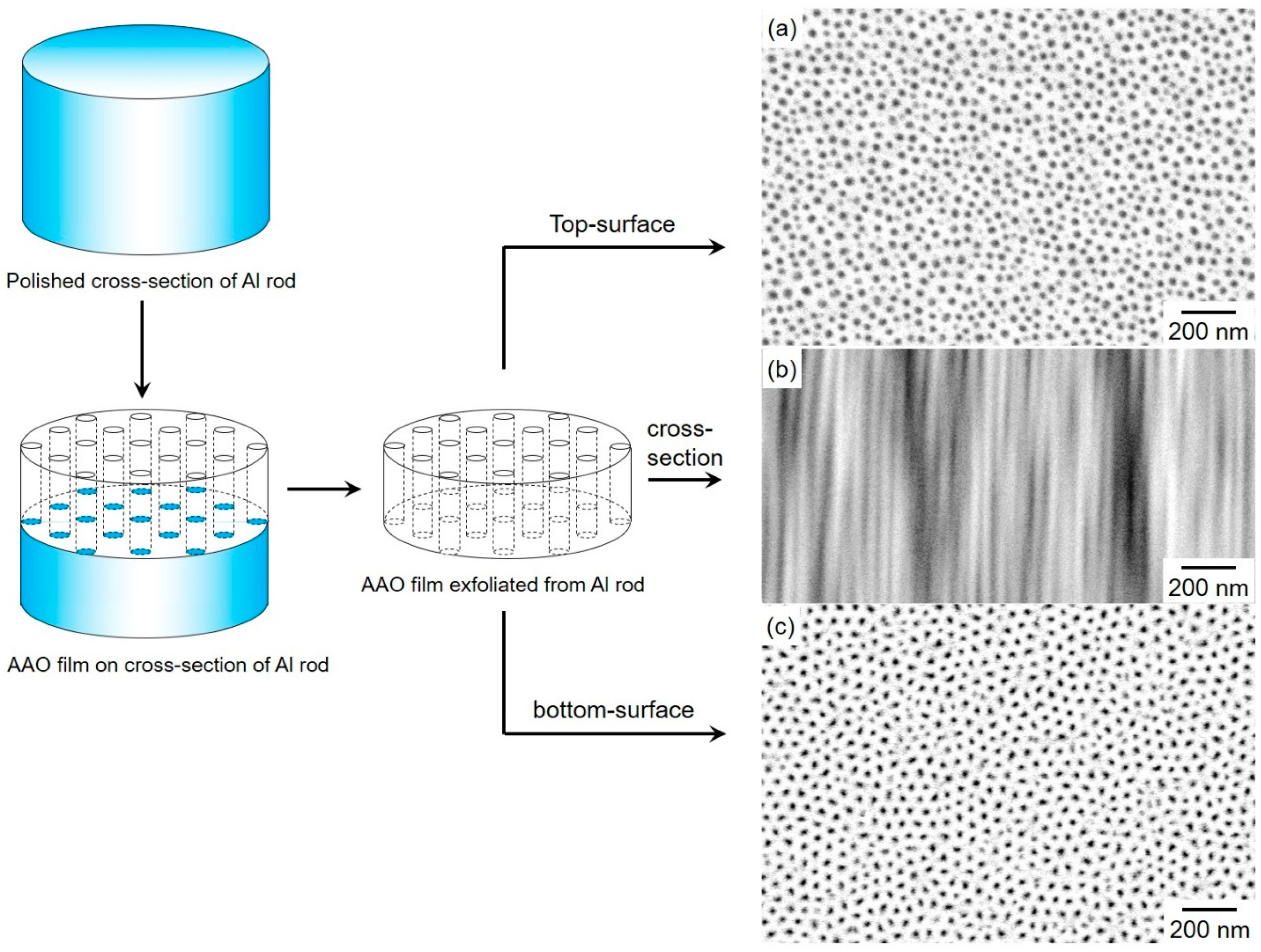 Crystals 09 00142 g003