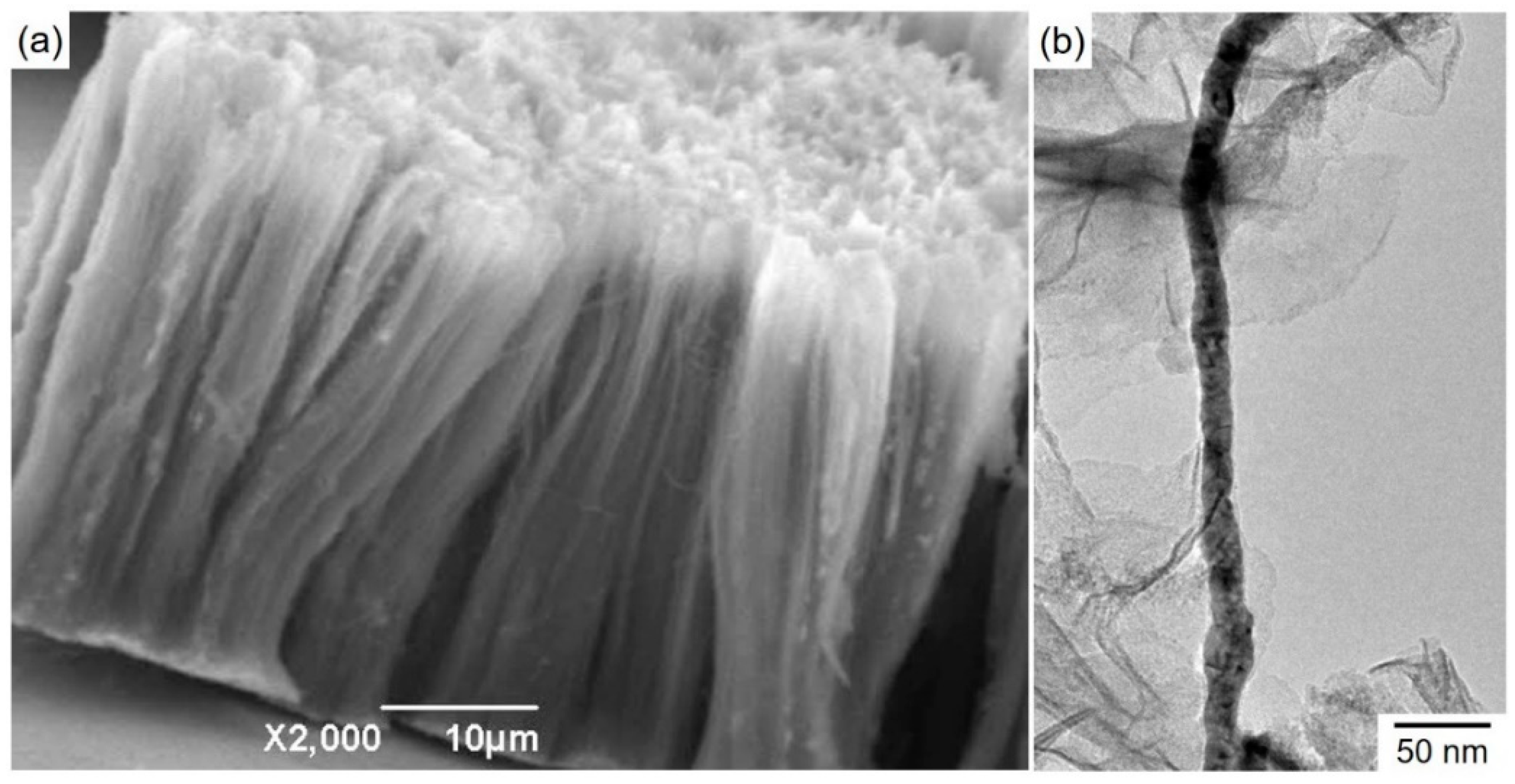 Crystals 09 00142 g007