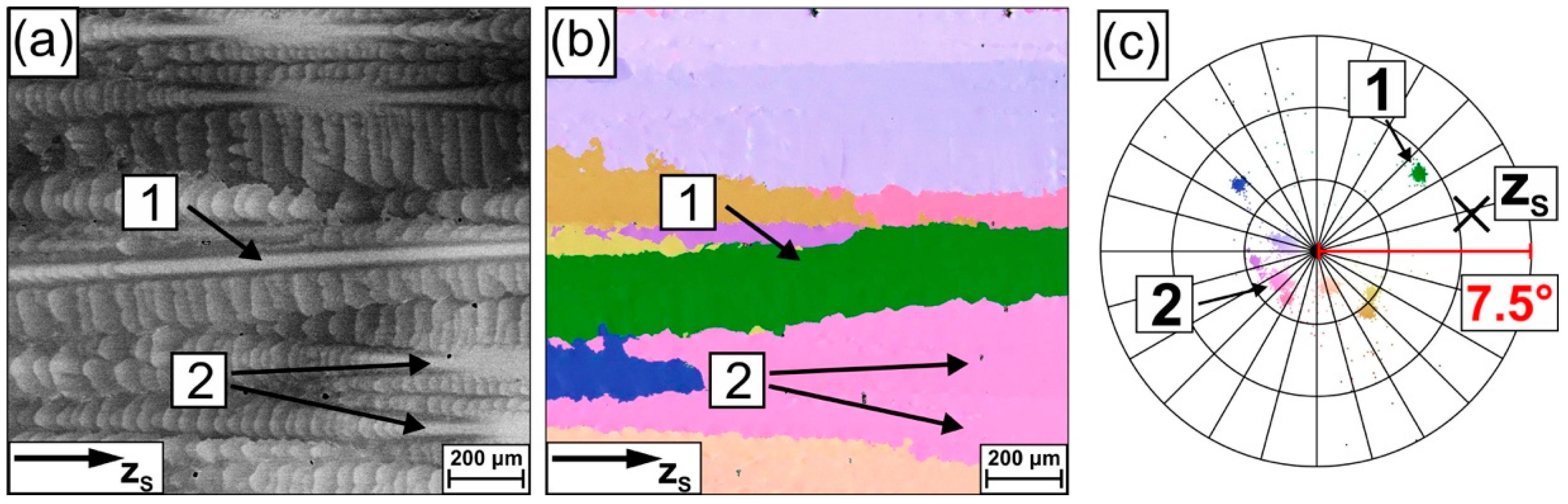 Crystals 09 00149 g012
