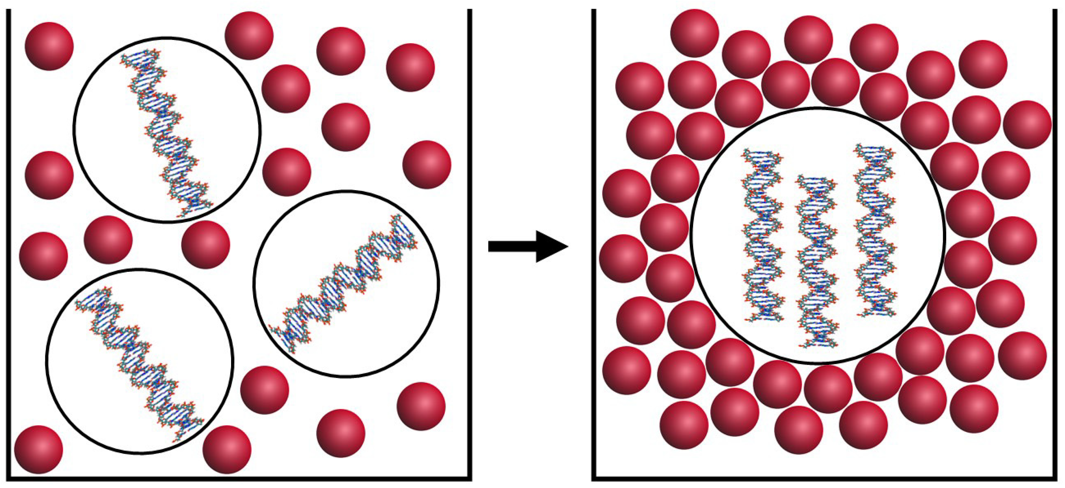 Crystals 09 00162 g001