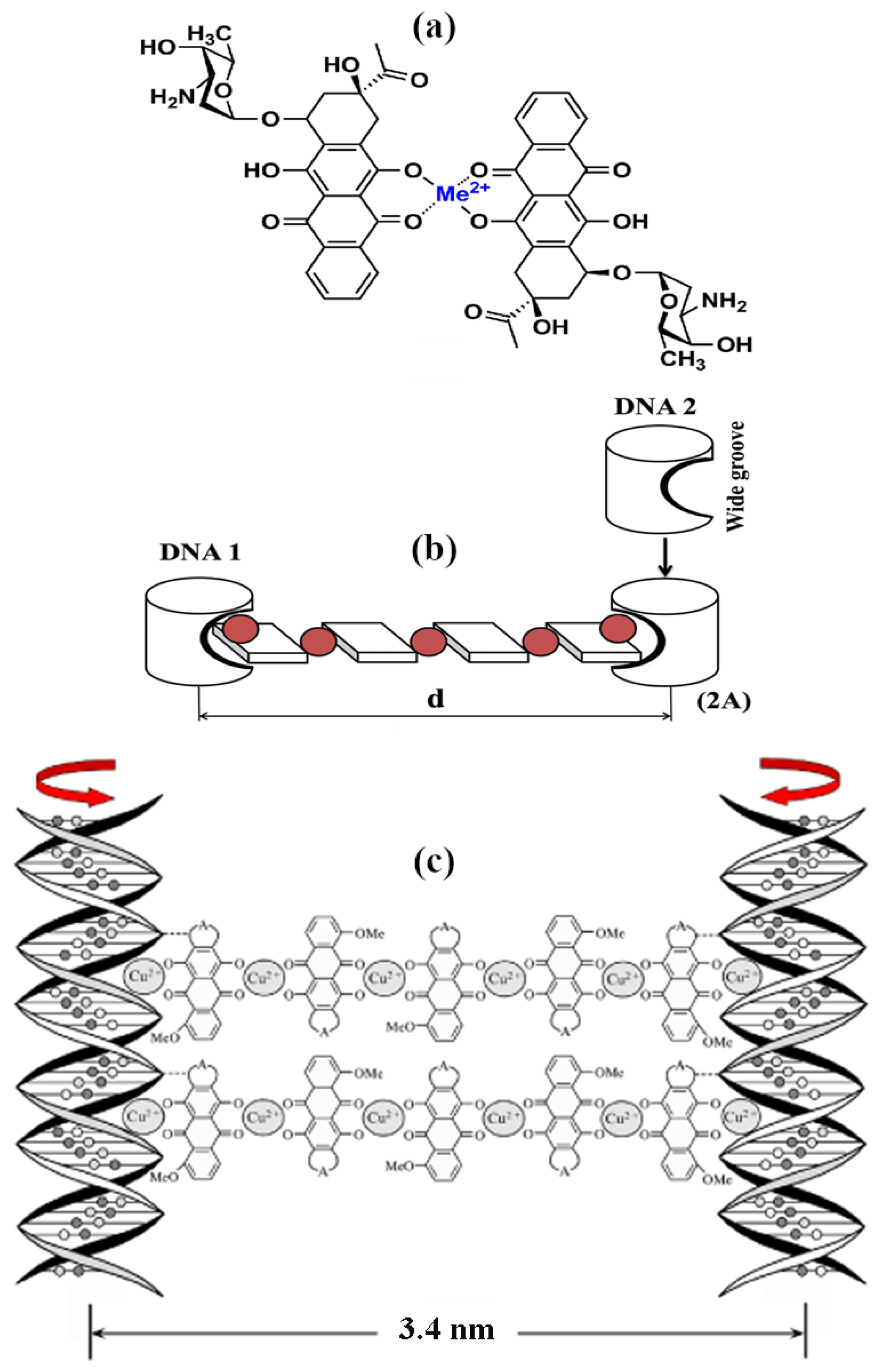 Crystals 09 00162 g015
