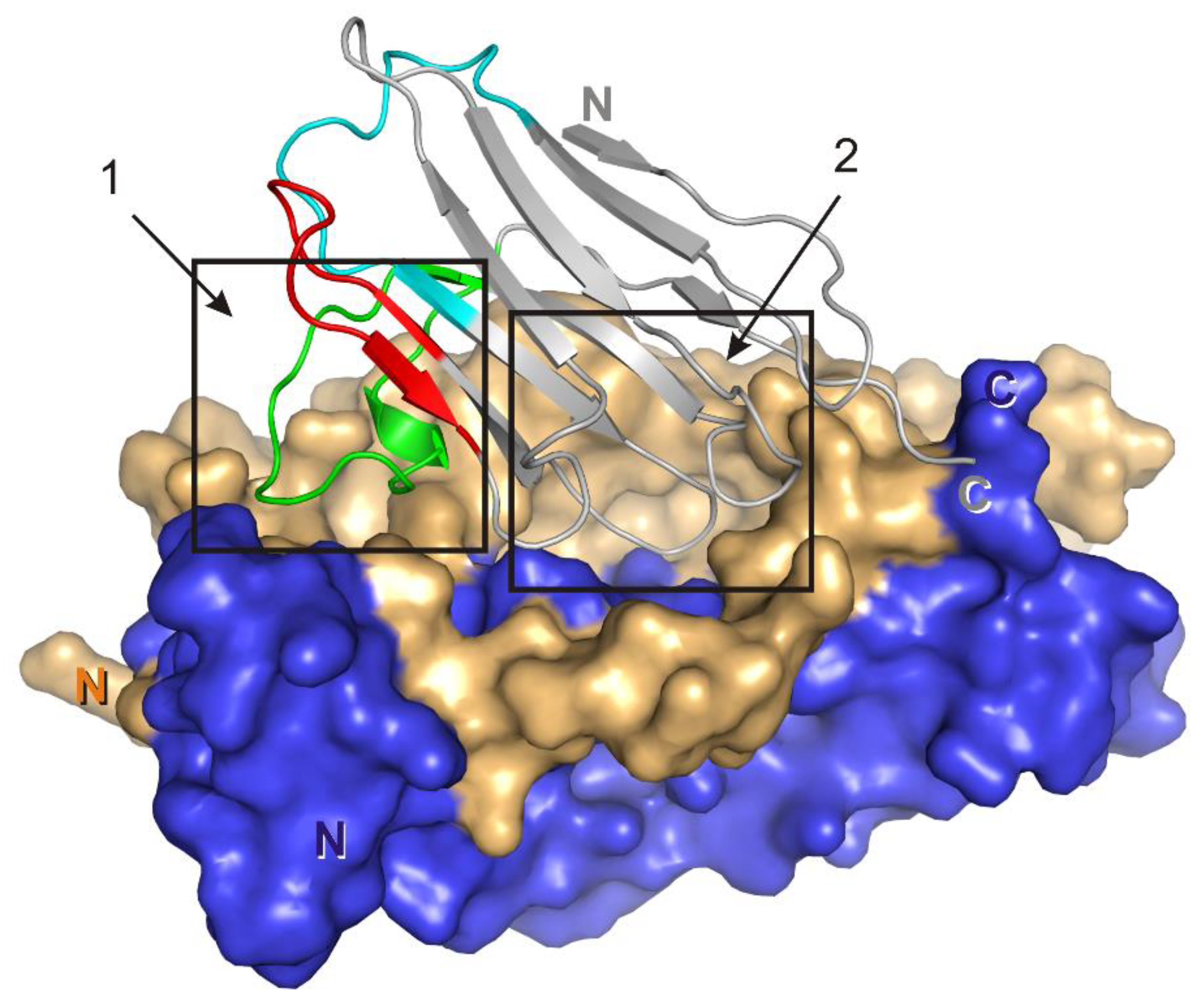 Crystals 09 00177 g007 Crystals 09 00177 g007
