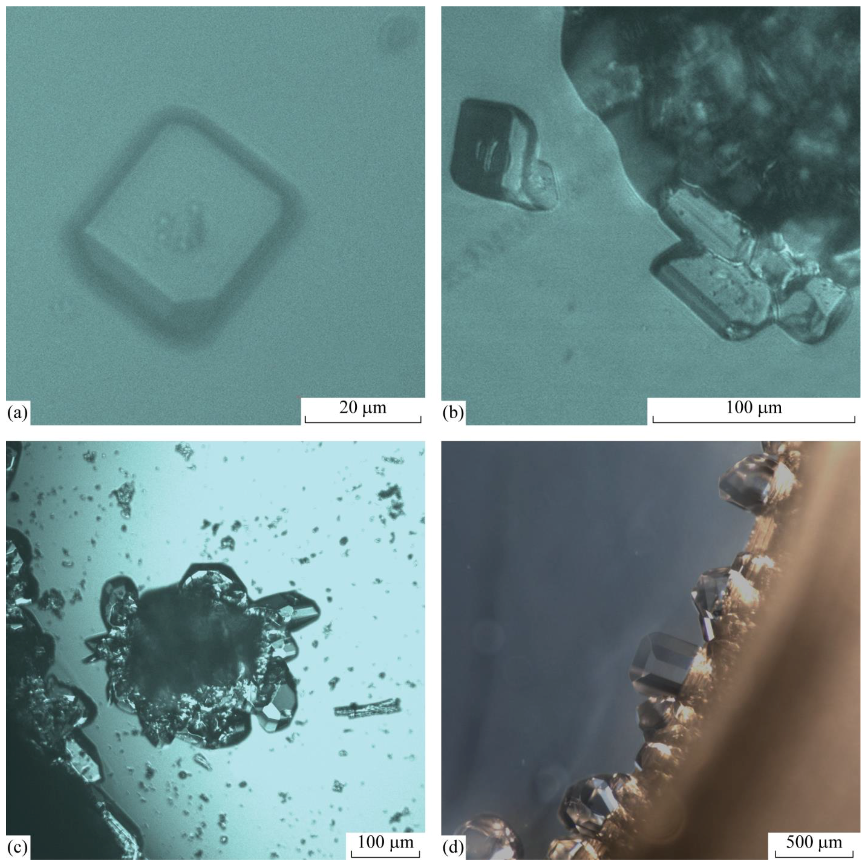 Crystals 09 00215 g004