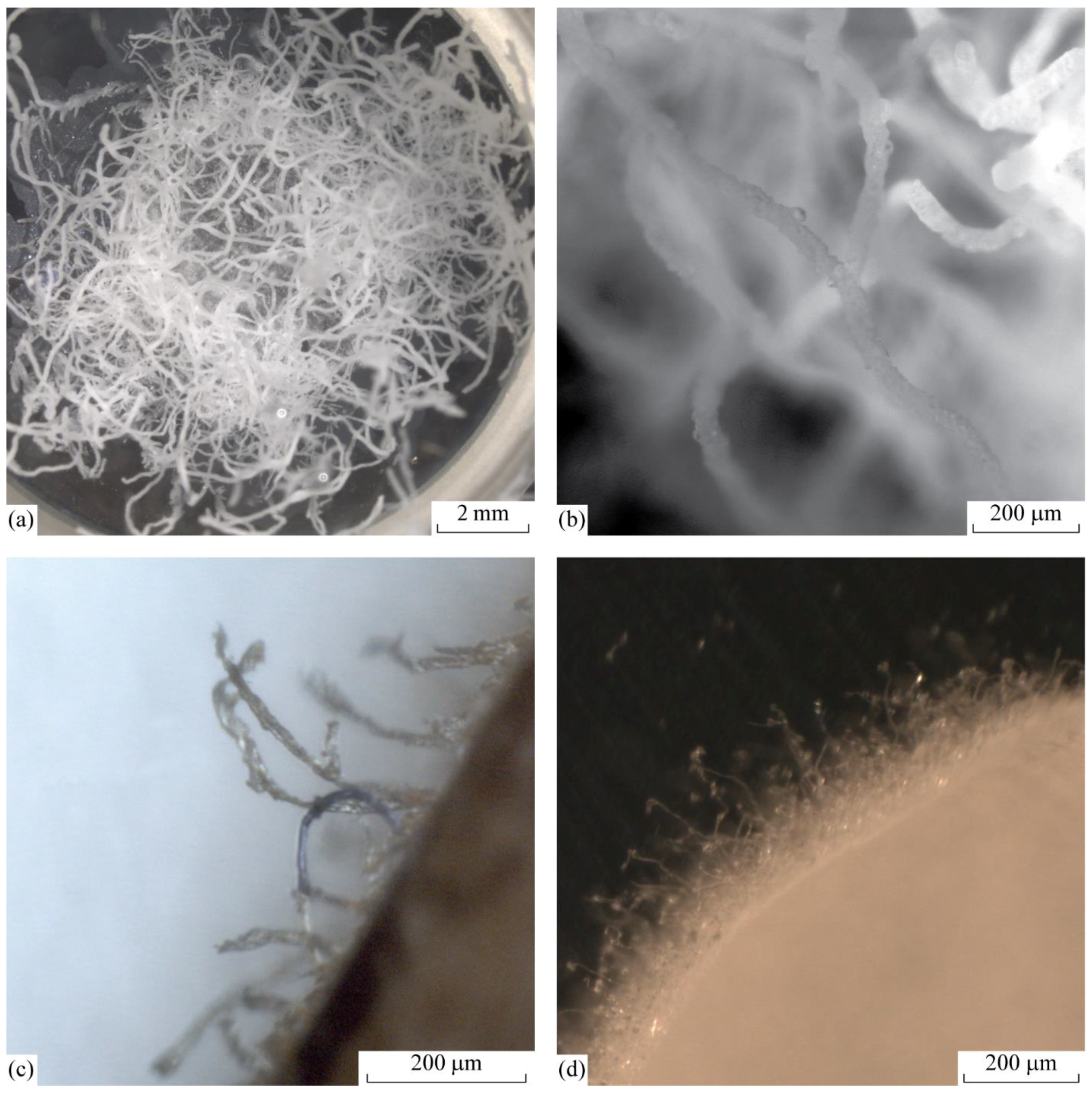 Crystals 09 00215 g007