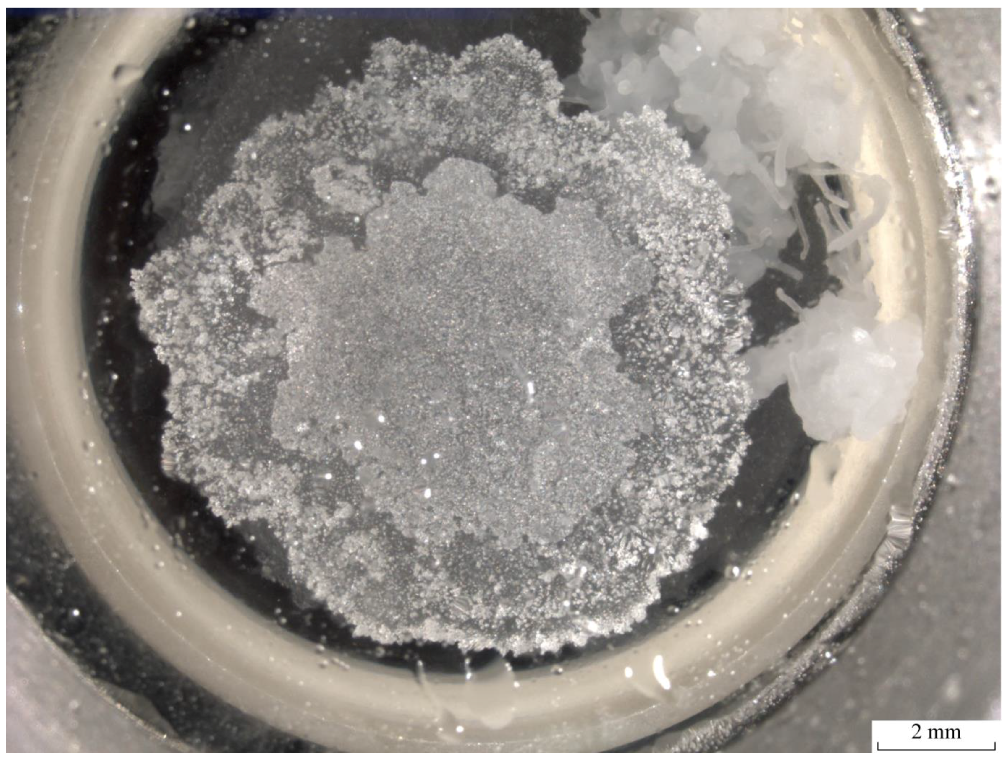 Crystals 09 00215 g010