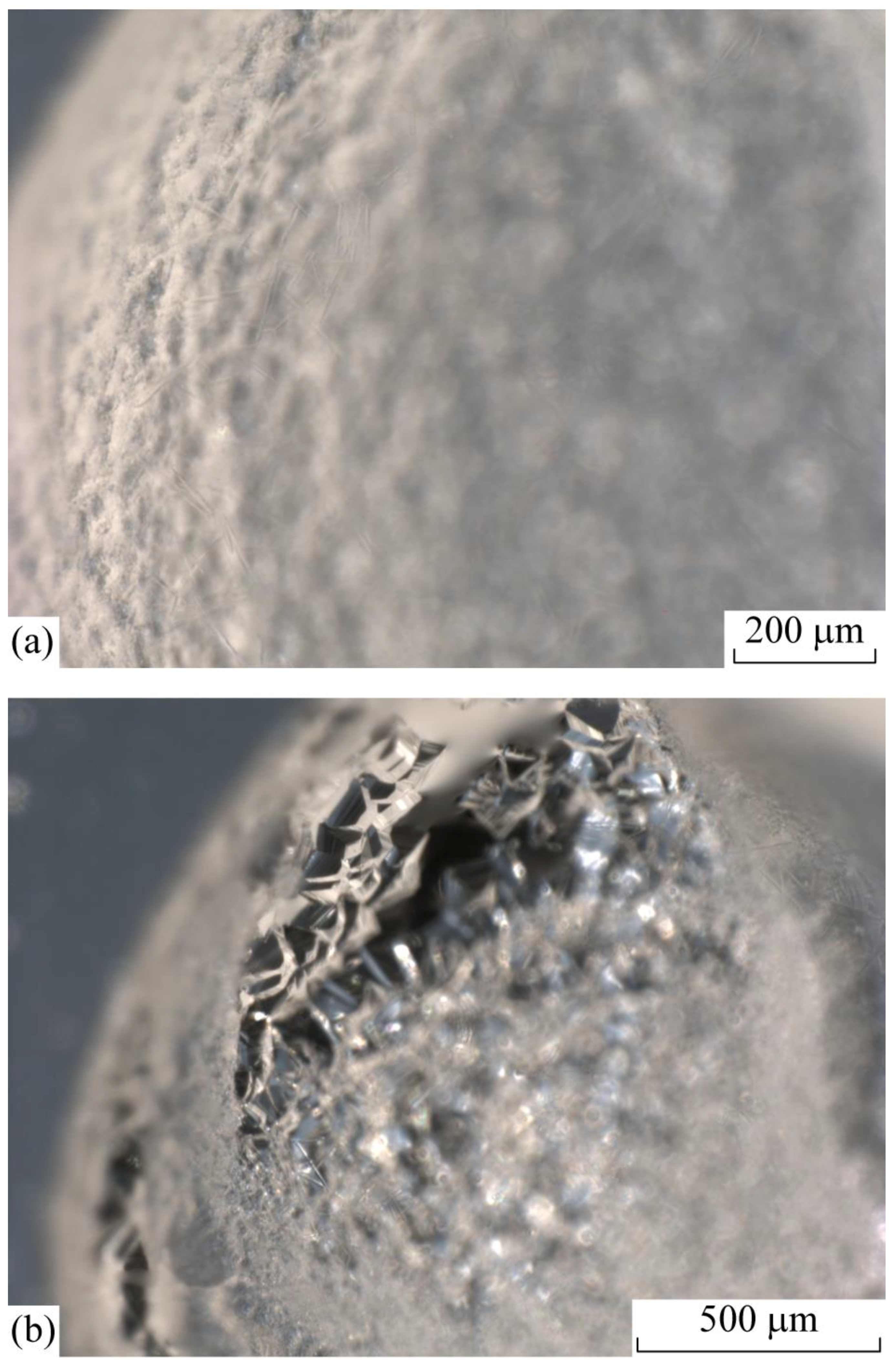 Crystals 09 00215 g012