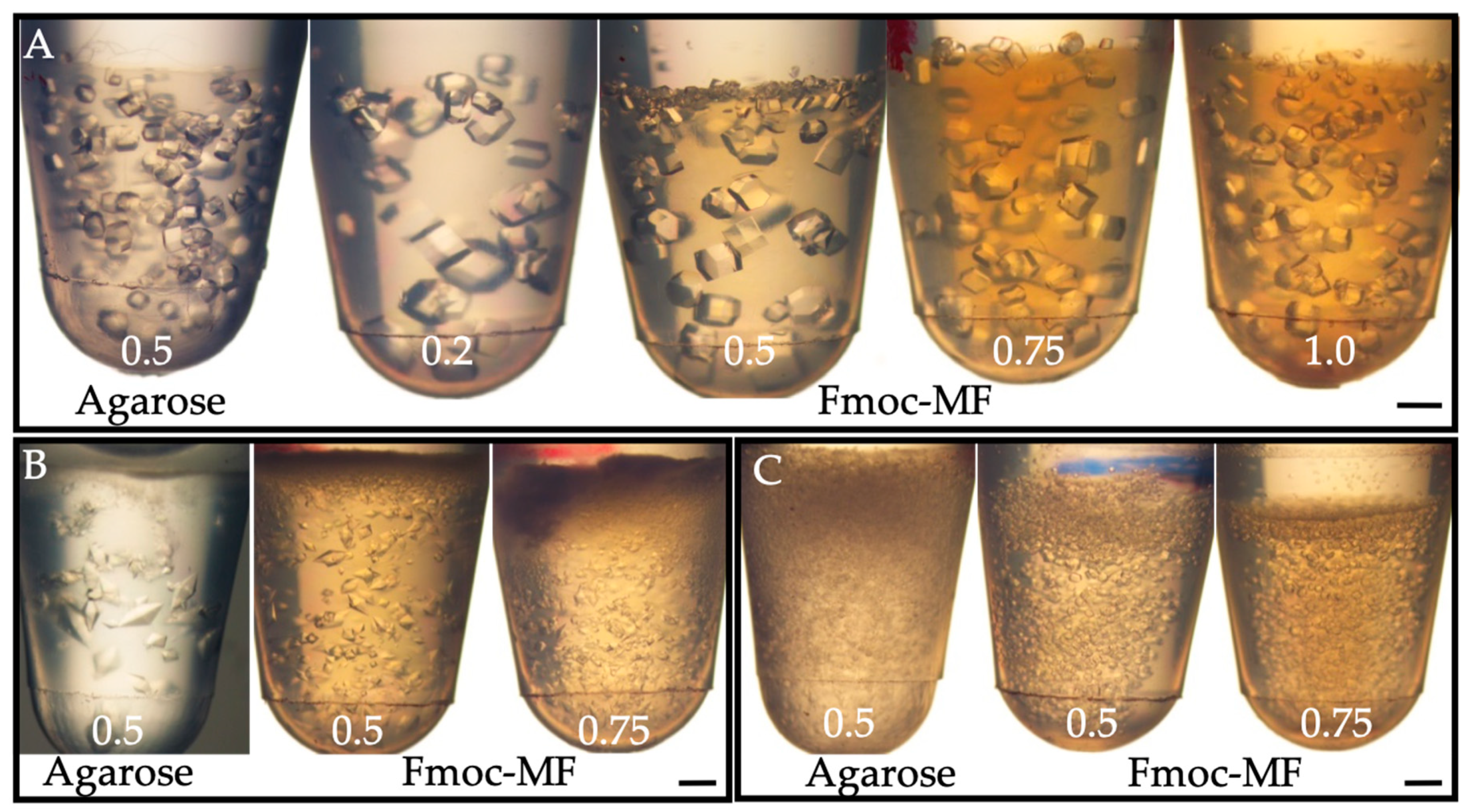 Crystals 09 00244 g001