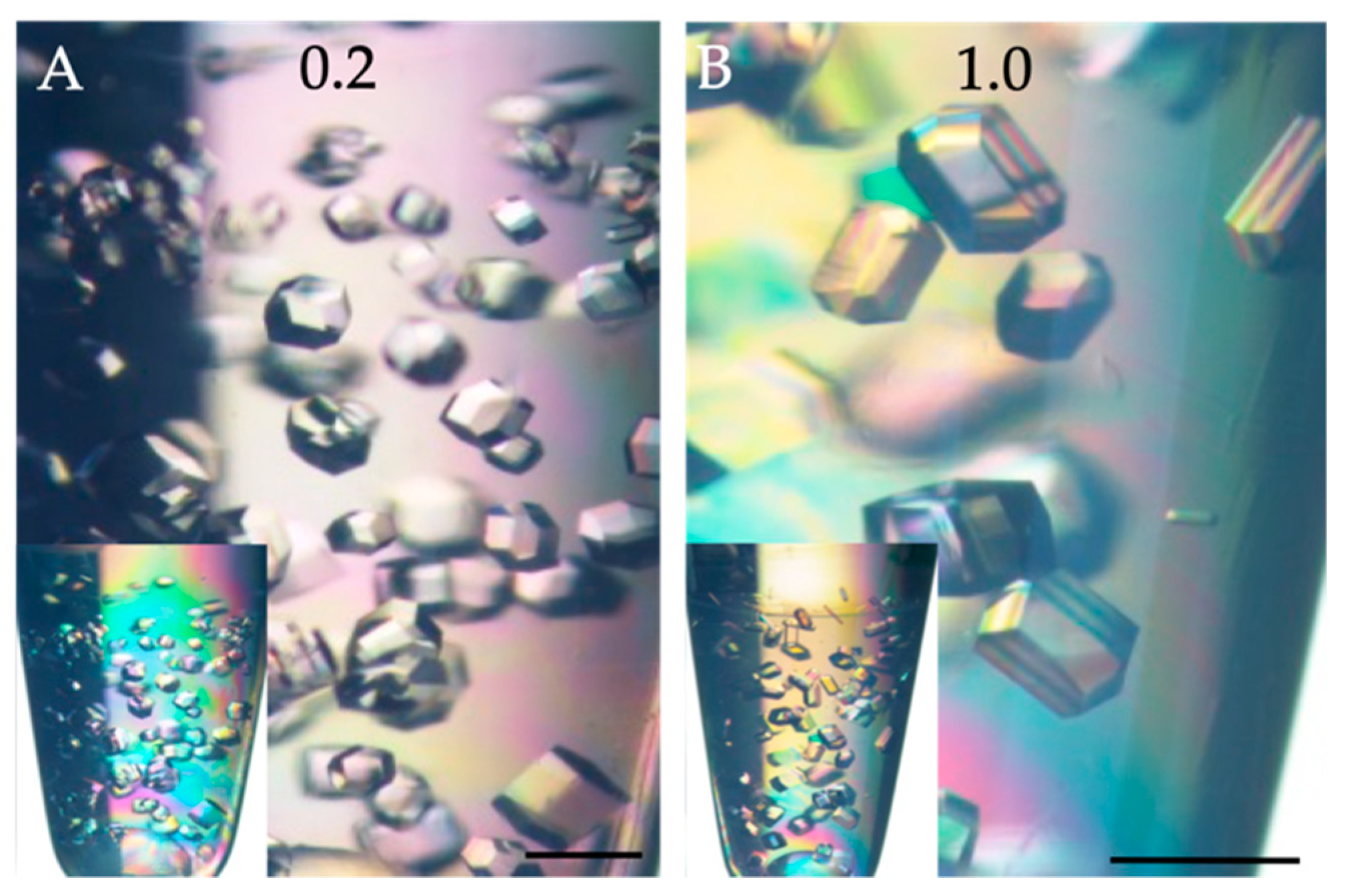 Crystals 09 00244 g002