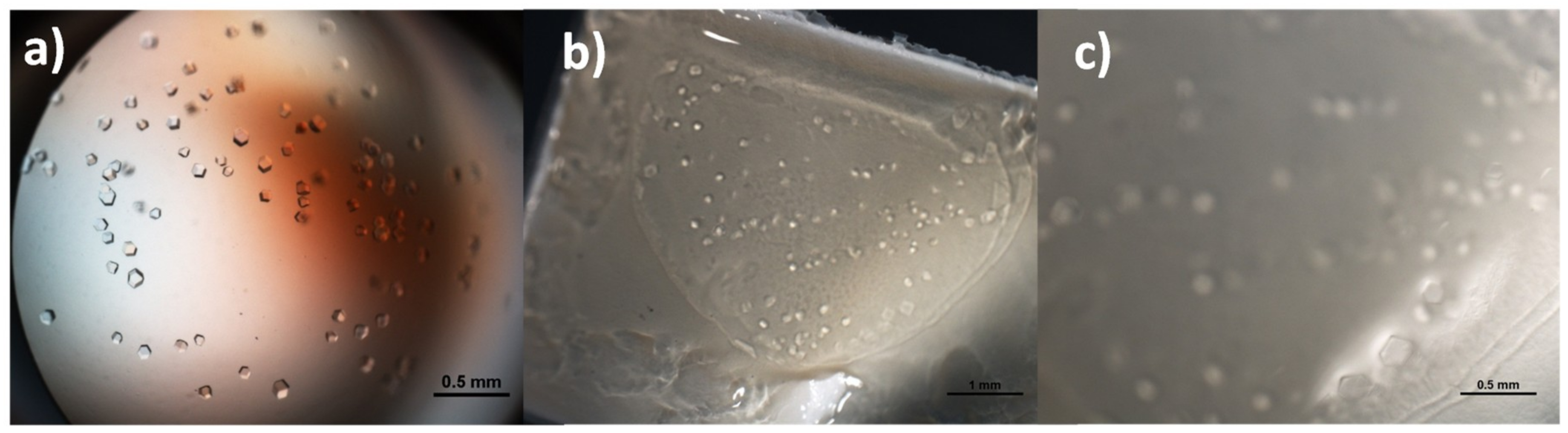 Crystals 09 00253 g002