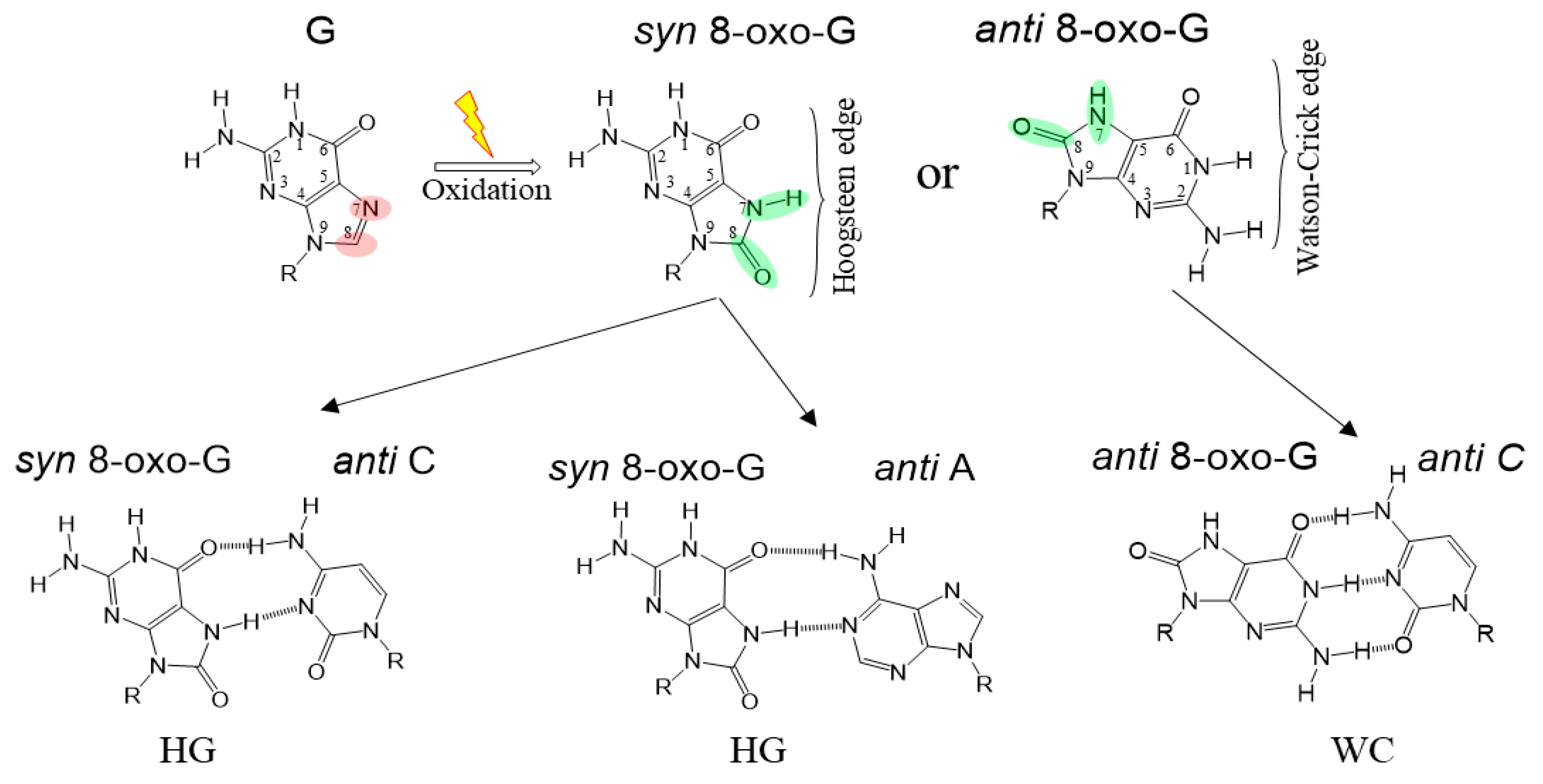 Crystals 09 00269 g001