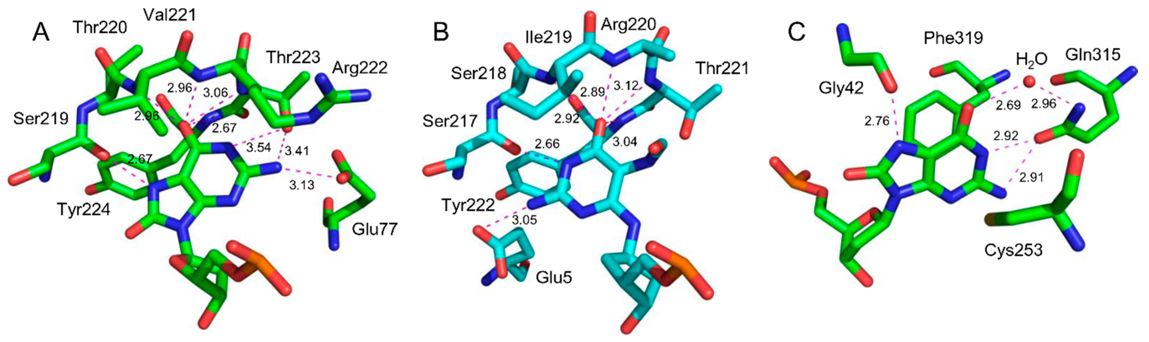 Crystals 09 00269 g004