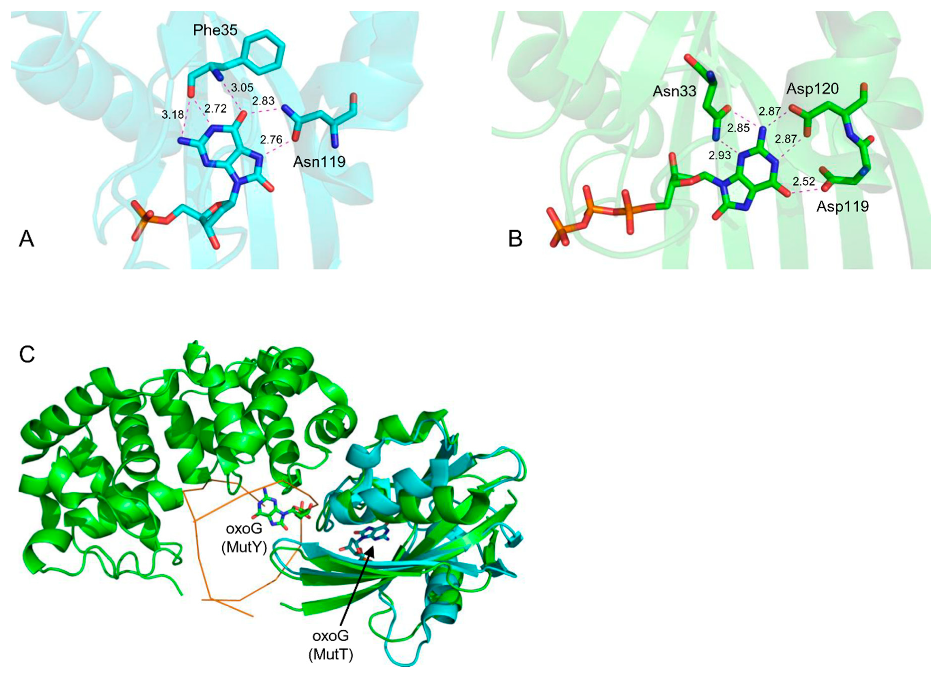 Crystals 09 00269 g005