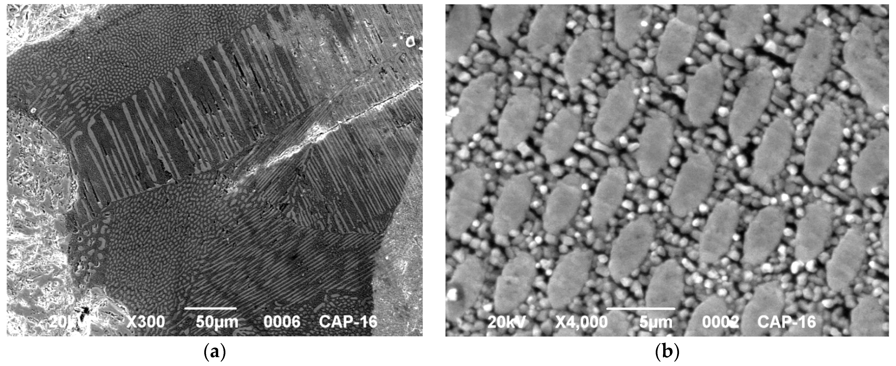 Crystals 09 00296 g004