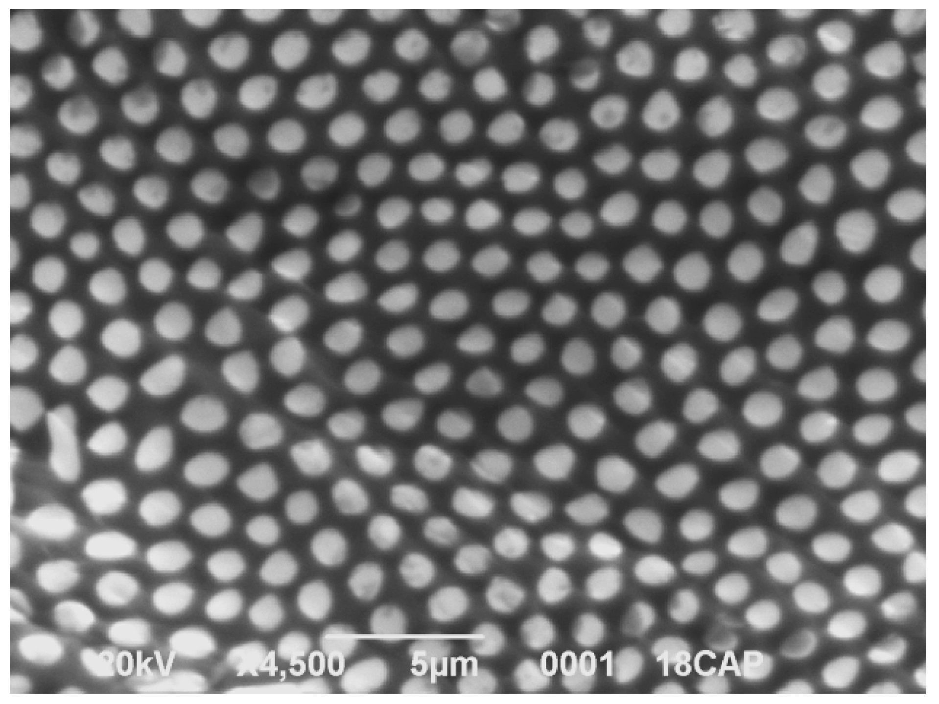 Crystals 09 00296 g005