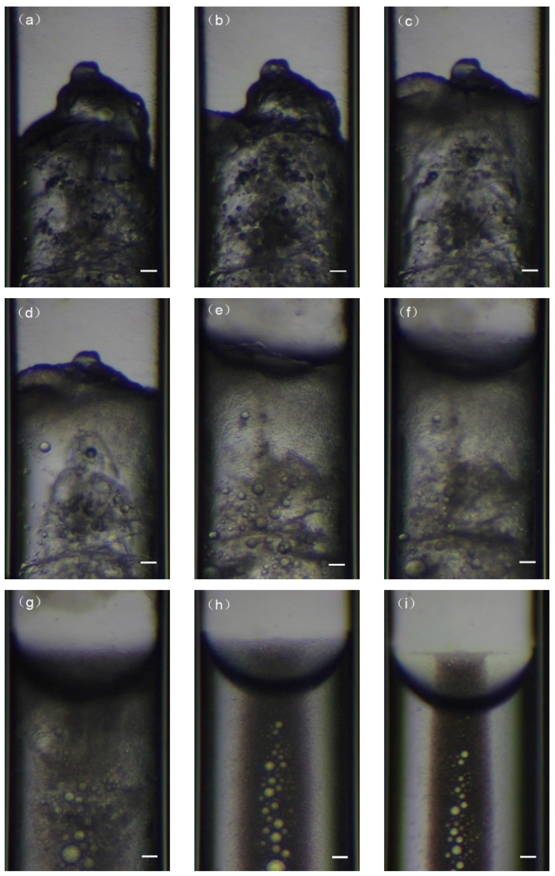 Crystals 09 00307 g004