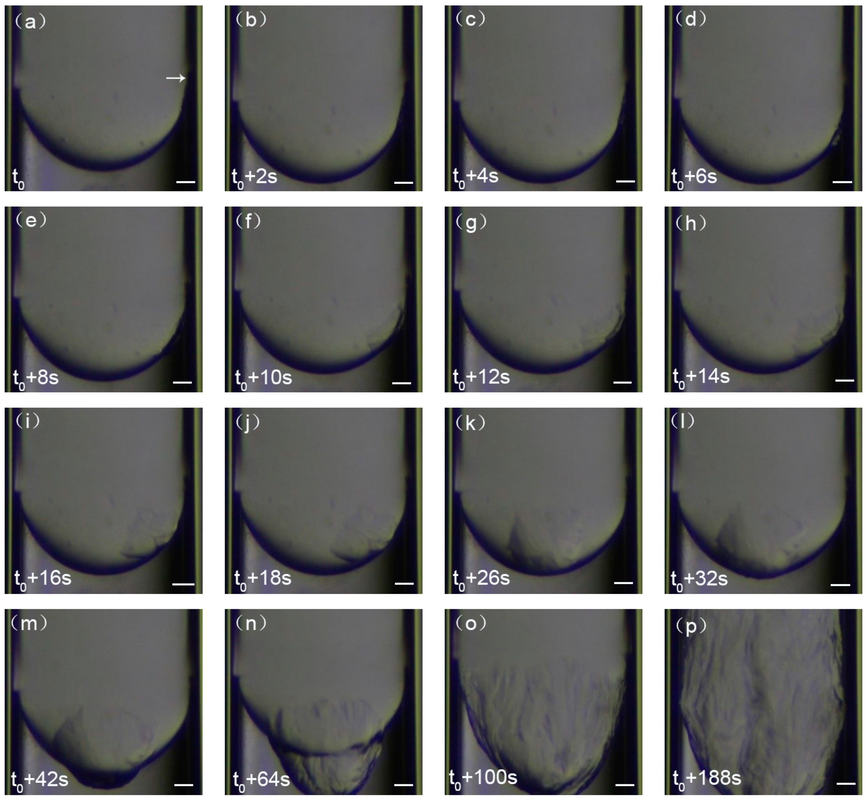 Crystals 09 00307 g005