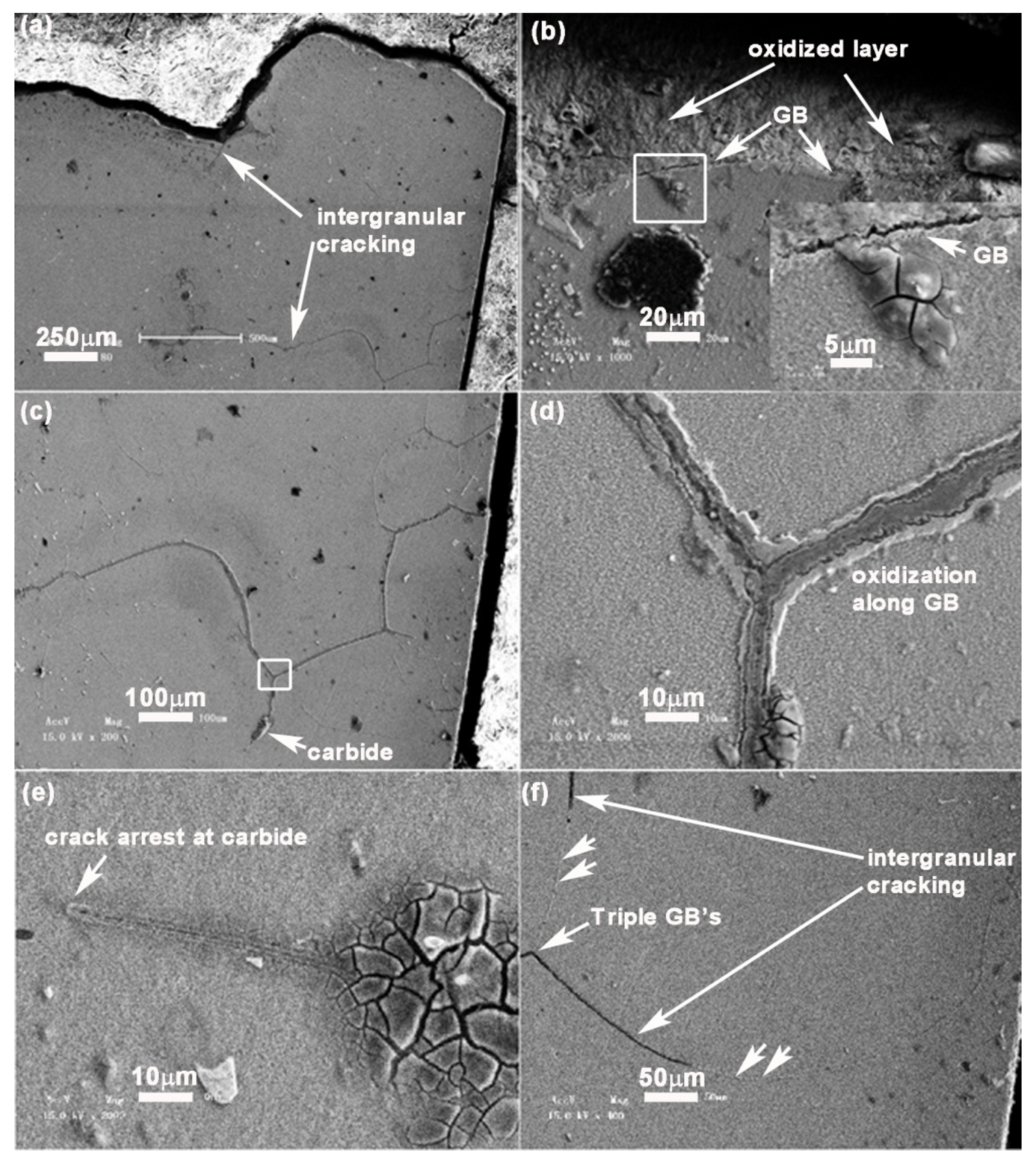 Crystals 09 00312 g010