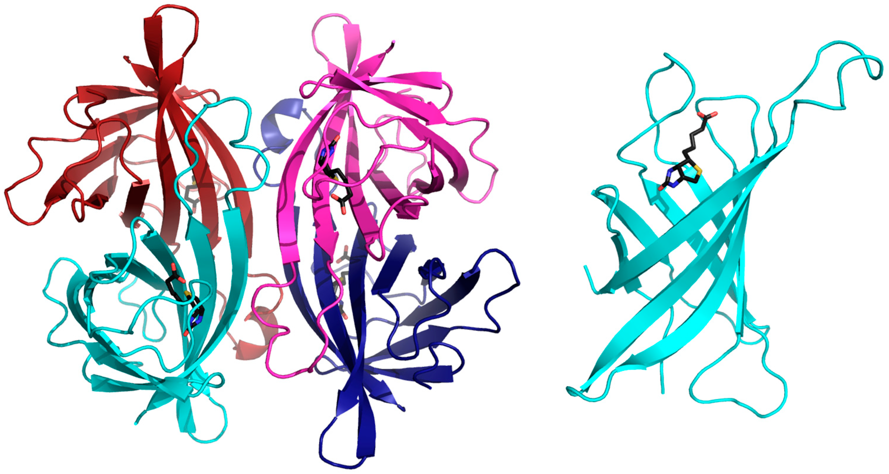 Crystals 09 00353 g001