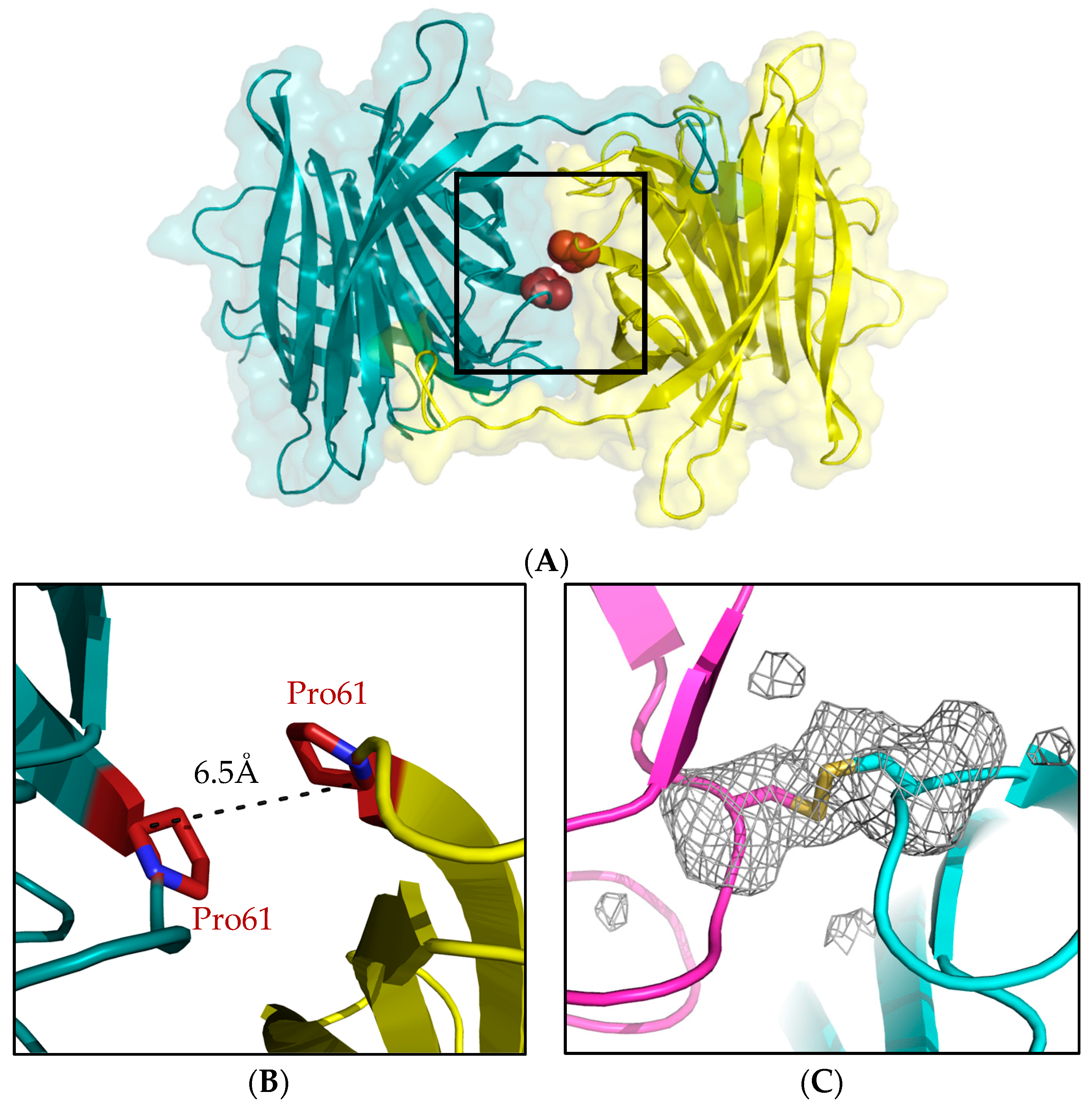 Crystals 09 00353 g003