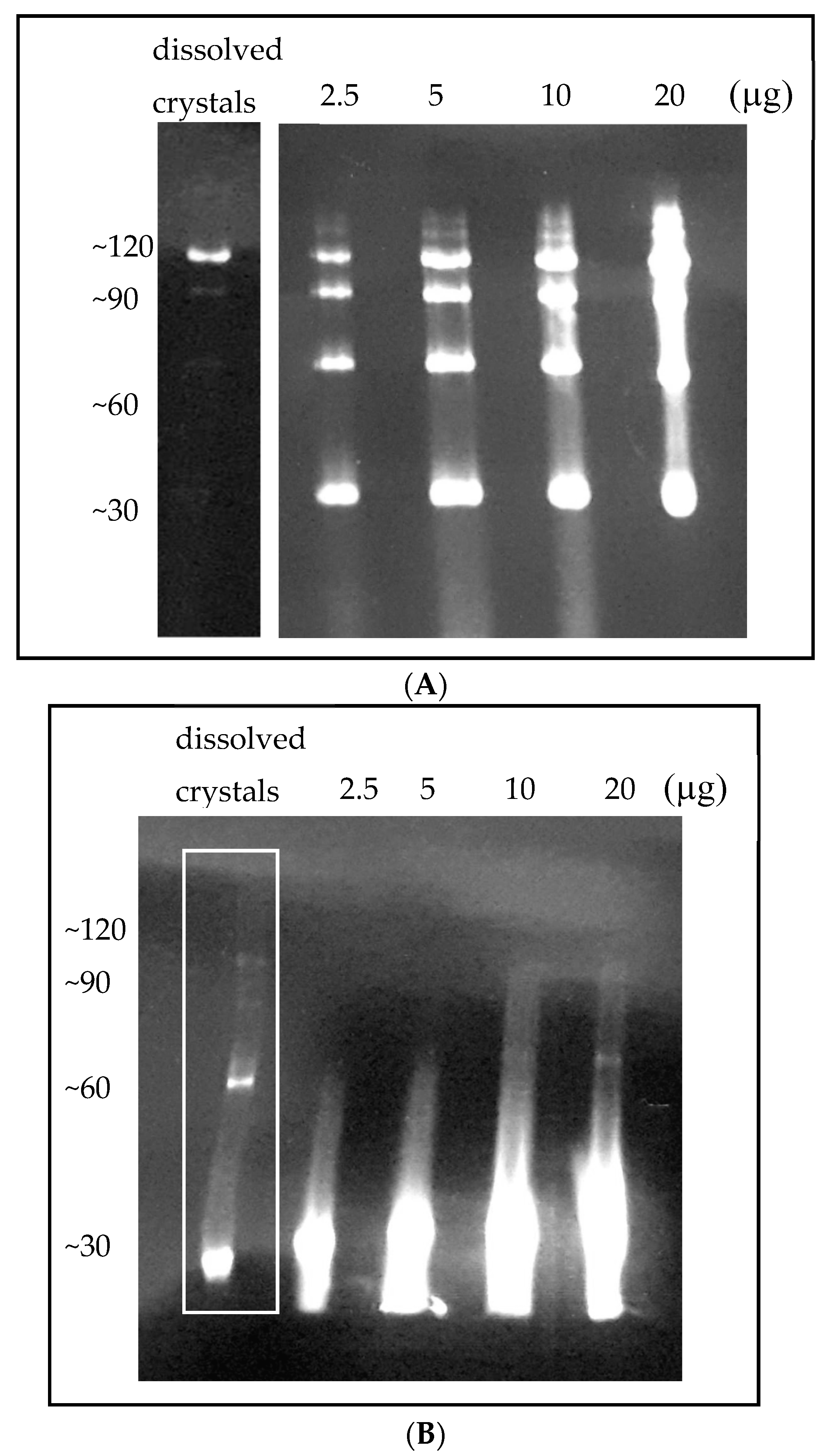 Crystals 09 00353 g005