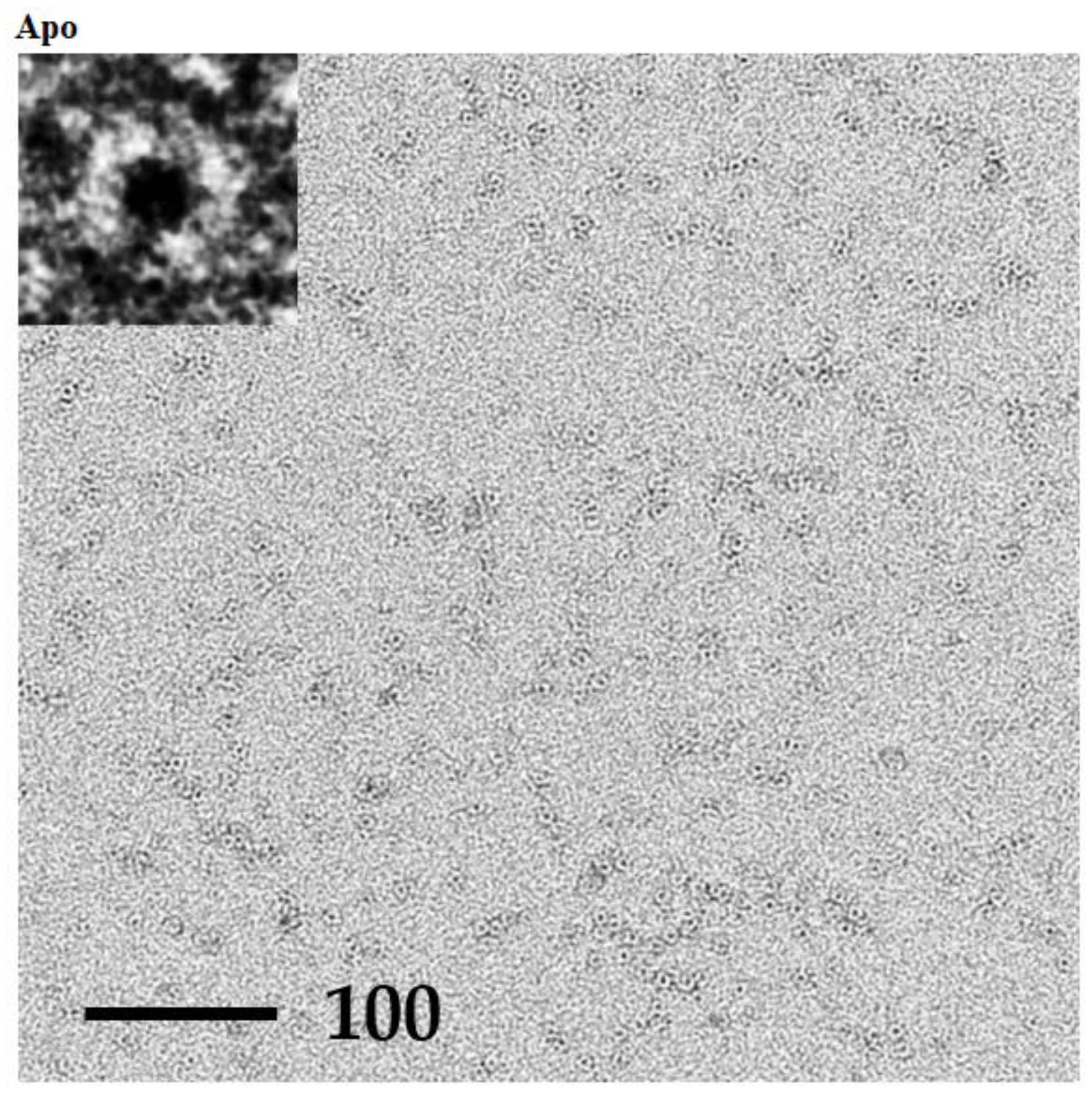 Crystals 09 00353 g006a