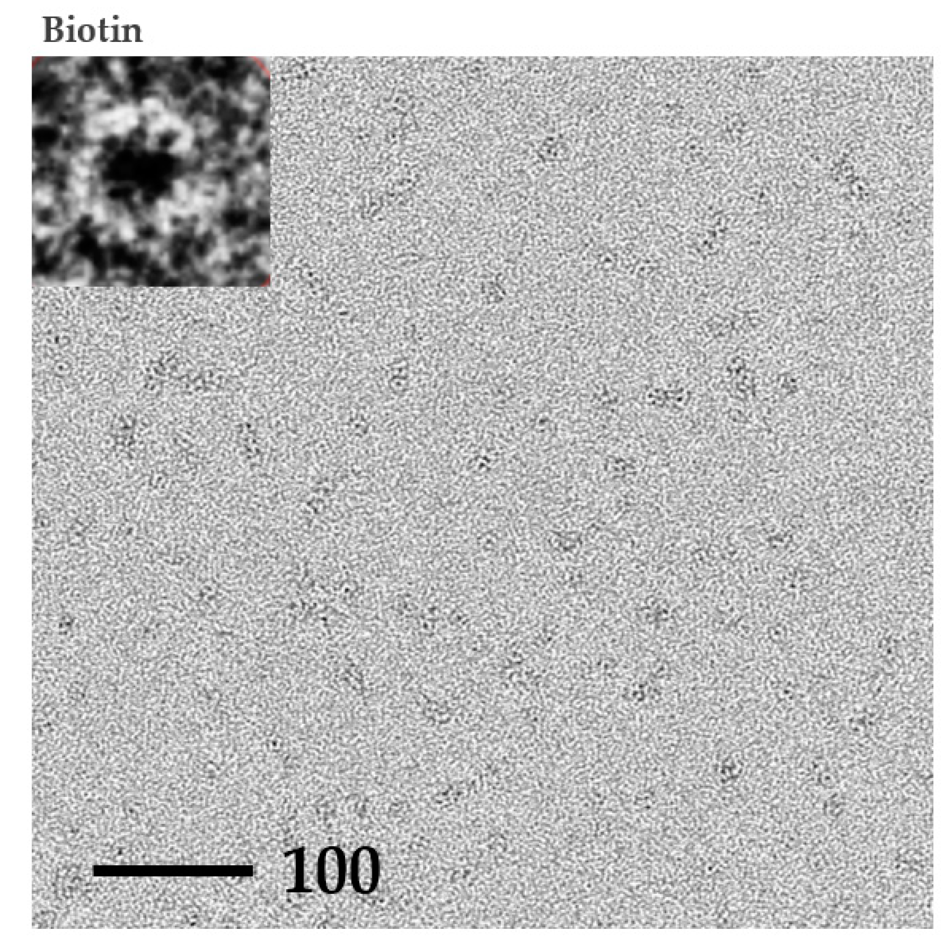 Crystals 09 00353 g006b