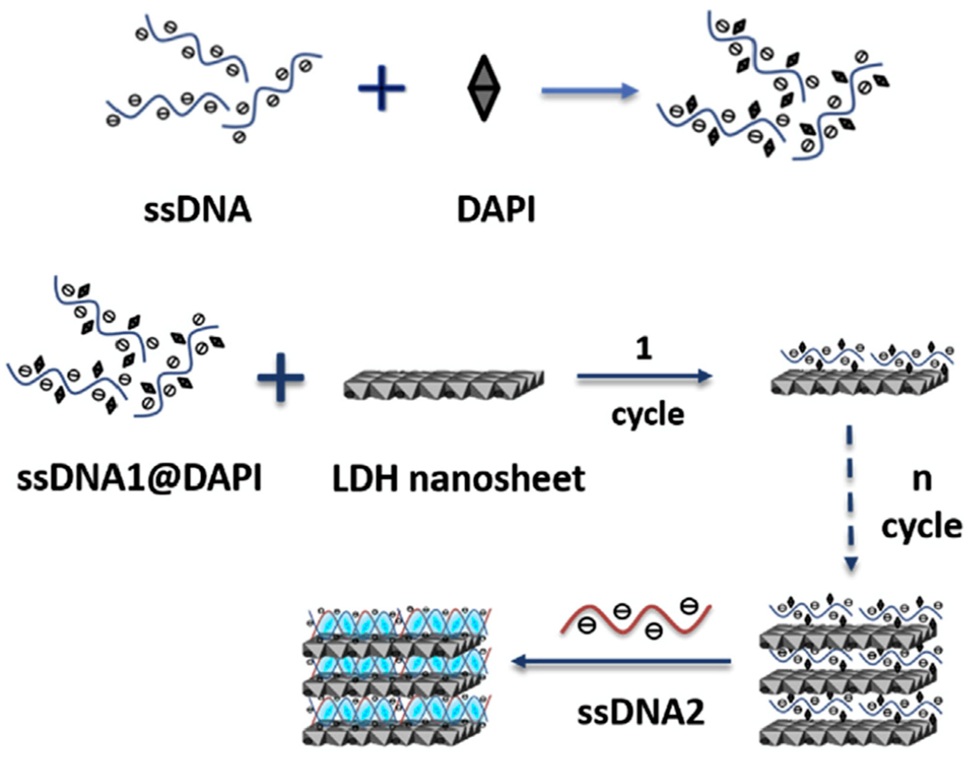 Crystals 09 00361 g011
