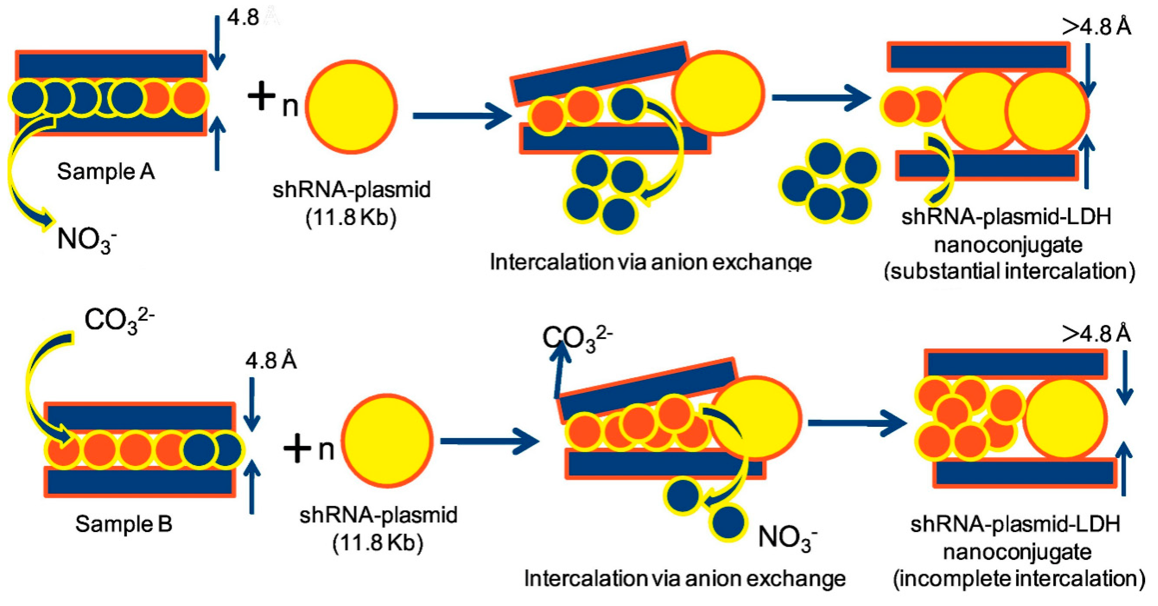 Crystals 09 00361 g013