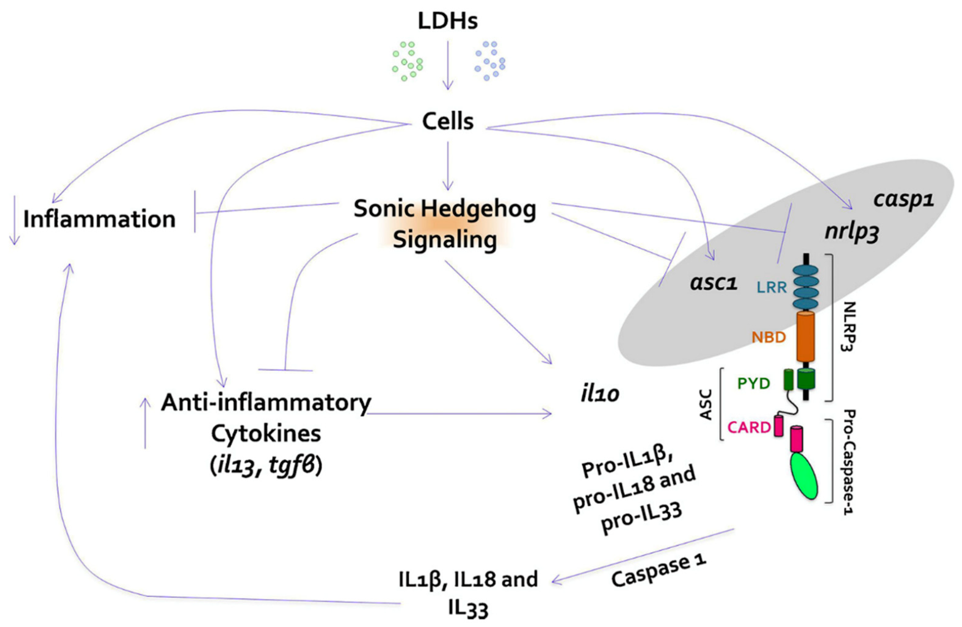 Crystals 09 00361 g014