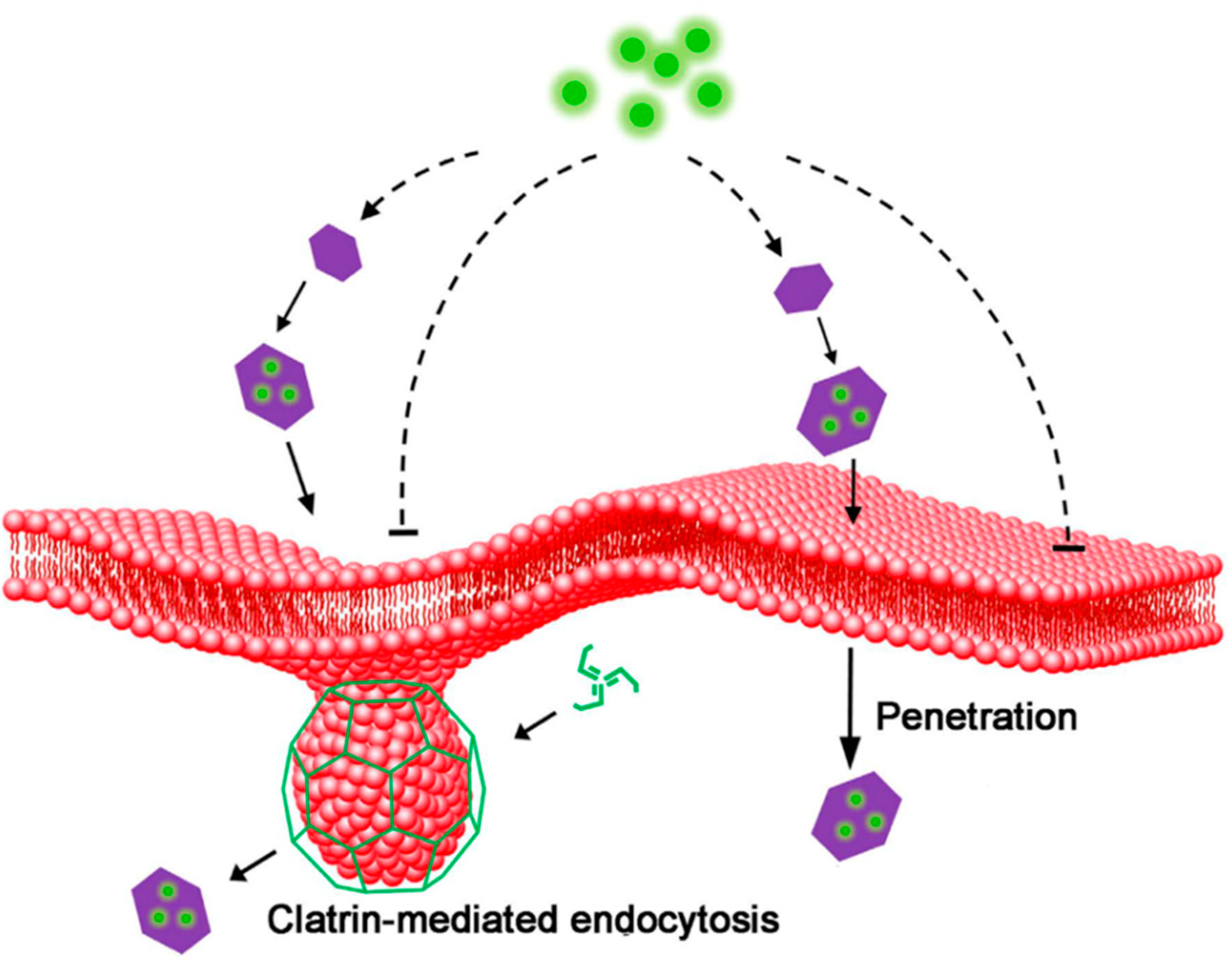 Crystals 09 00361 g016