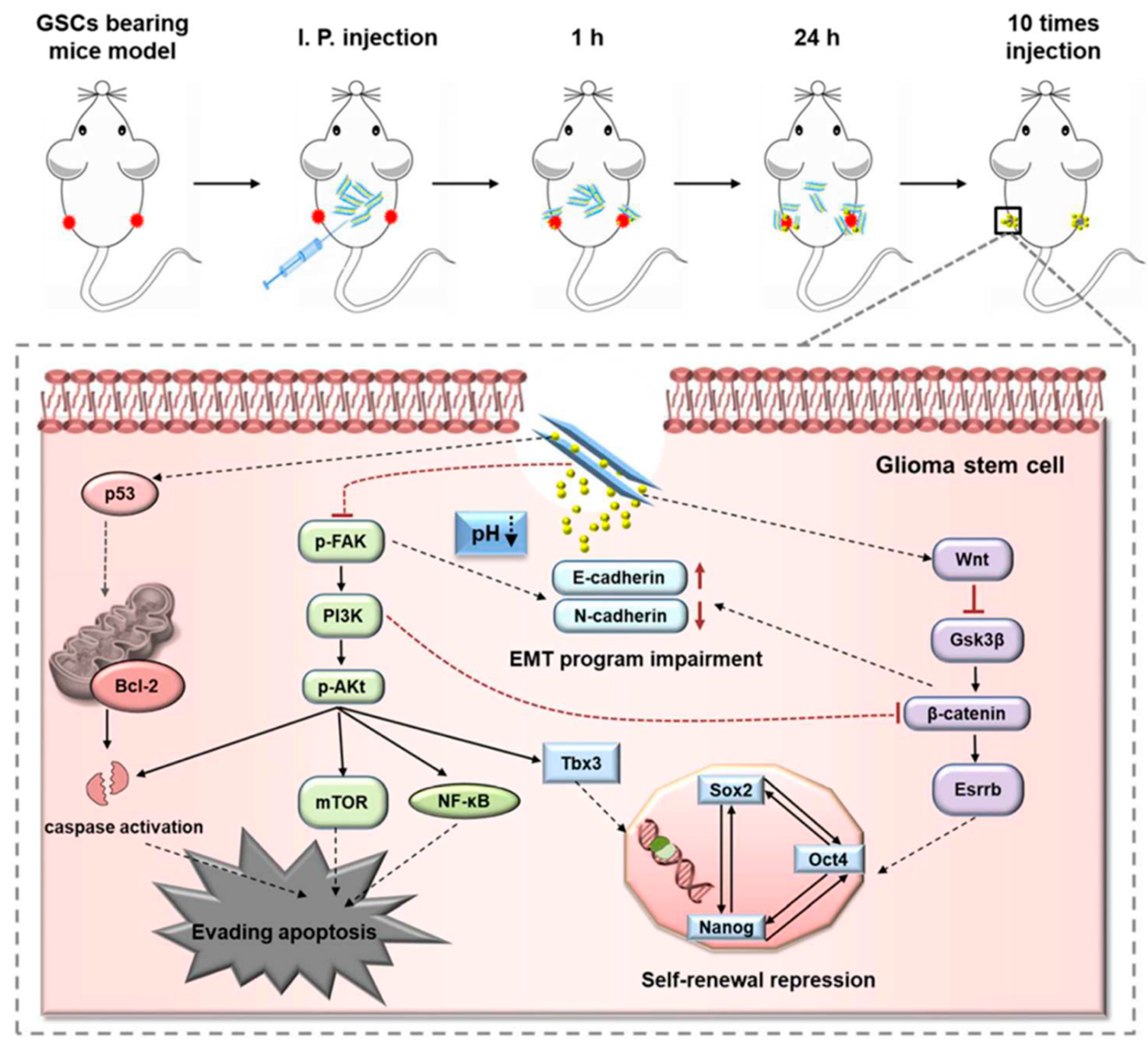 Crystals 09 00361 g019