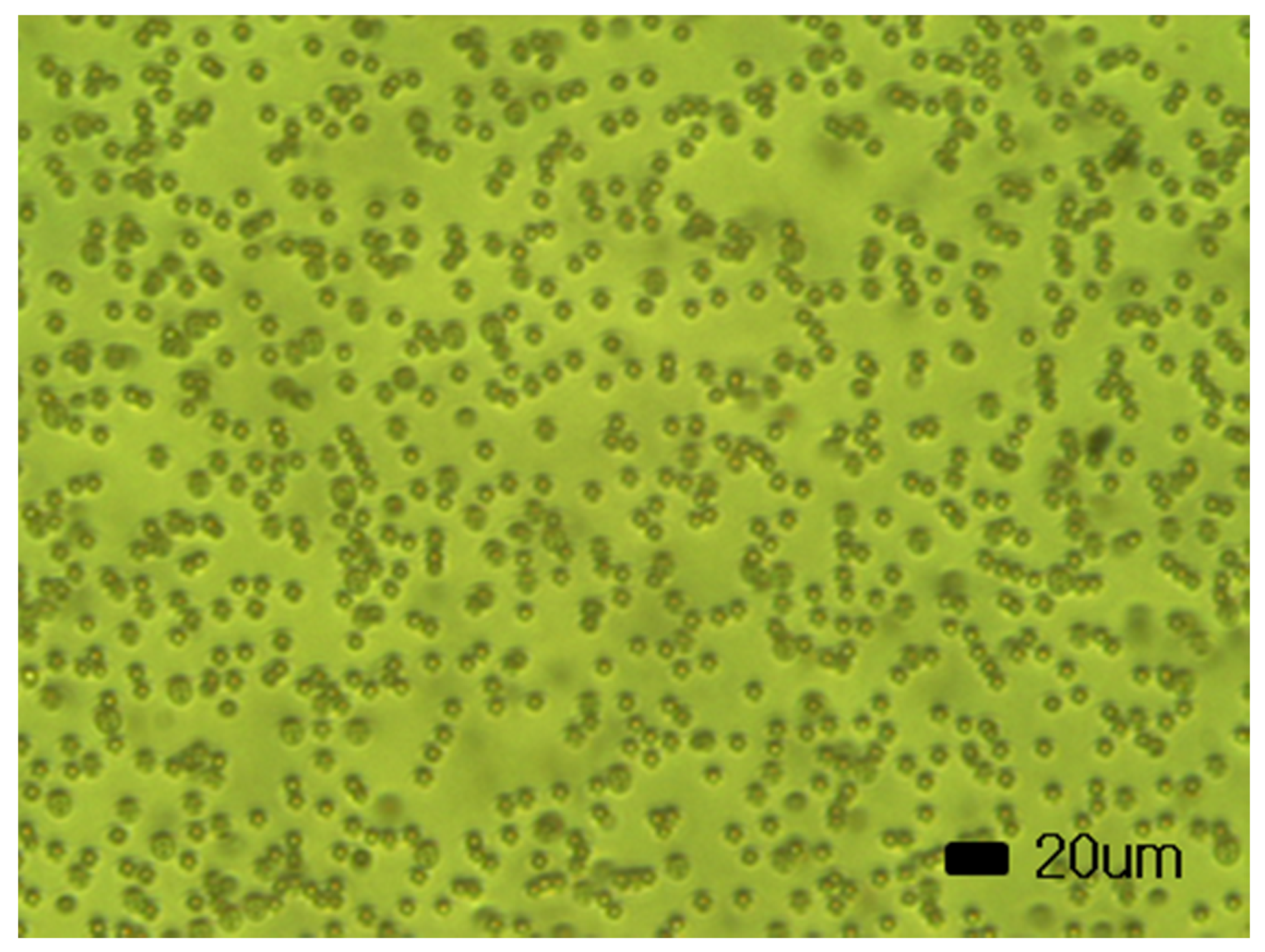 Crystals 09 00364 g002