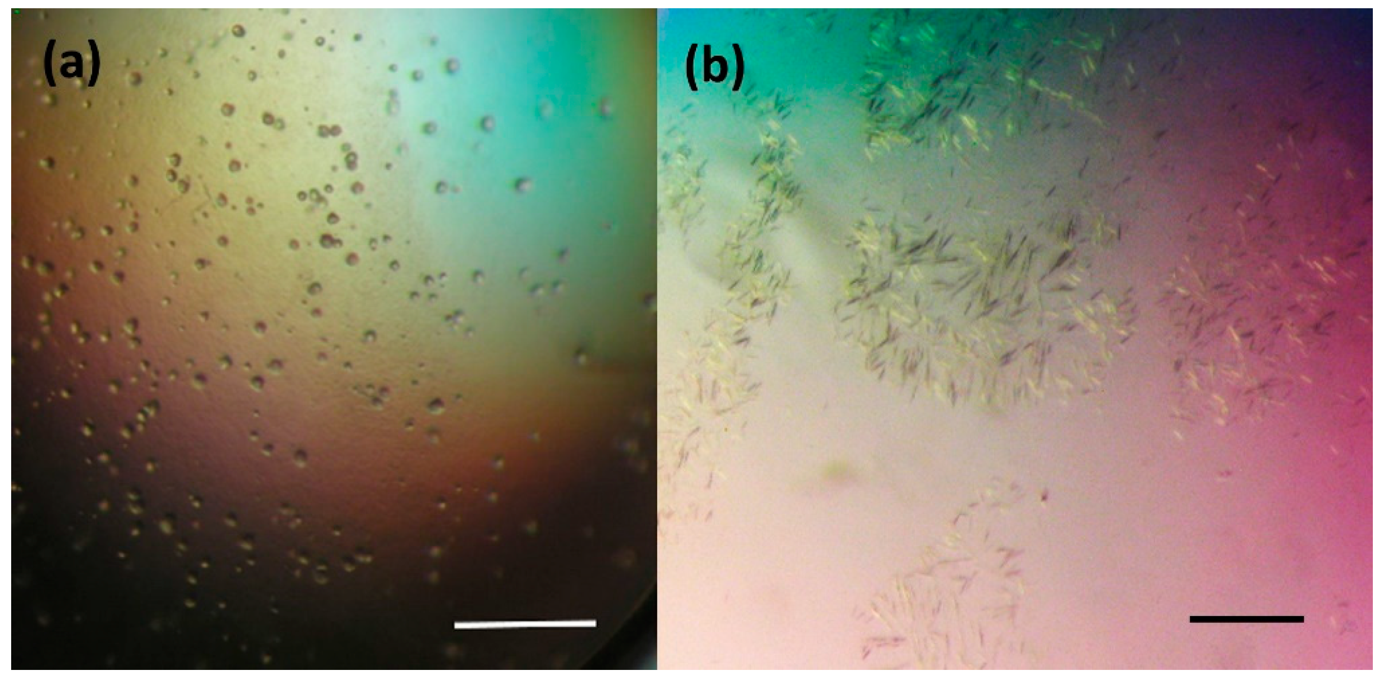 Crystals 09 00375 g001 Crystals 09 00375 g001