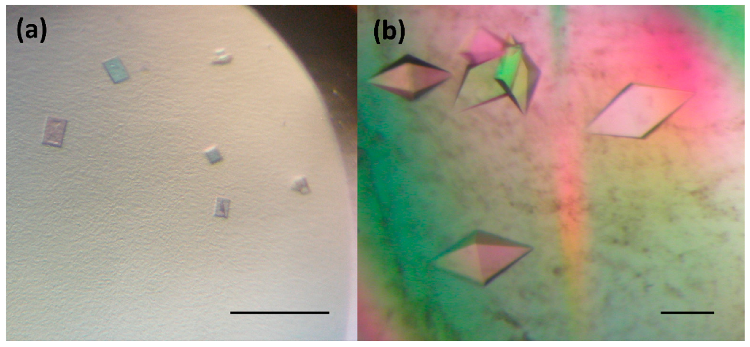 Crystals 09 00375 g002 Crystals 09 00375 g002