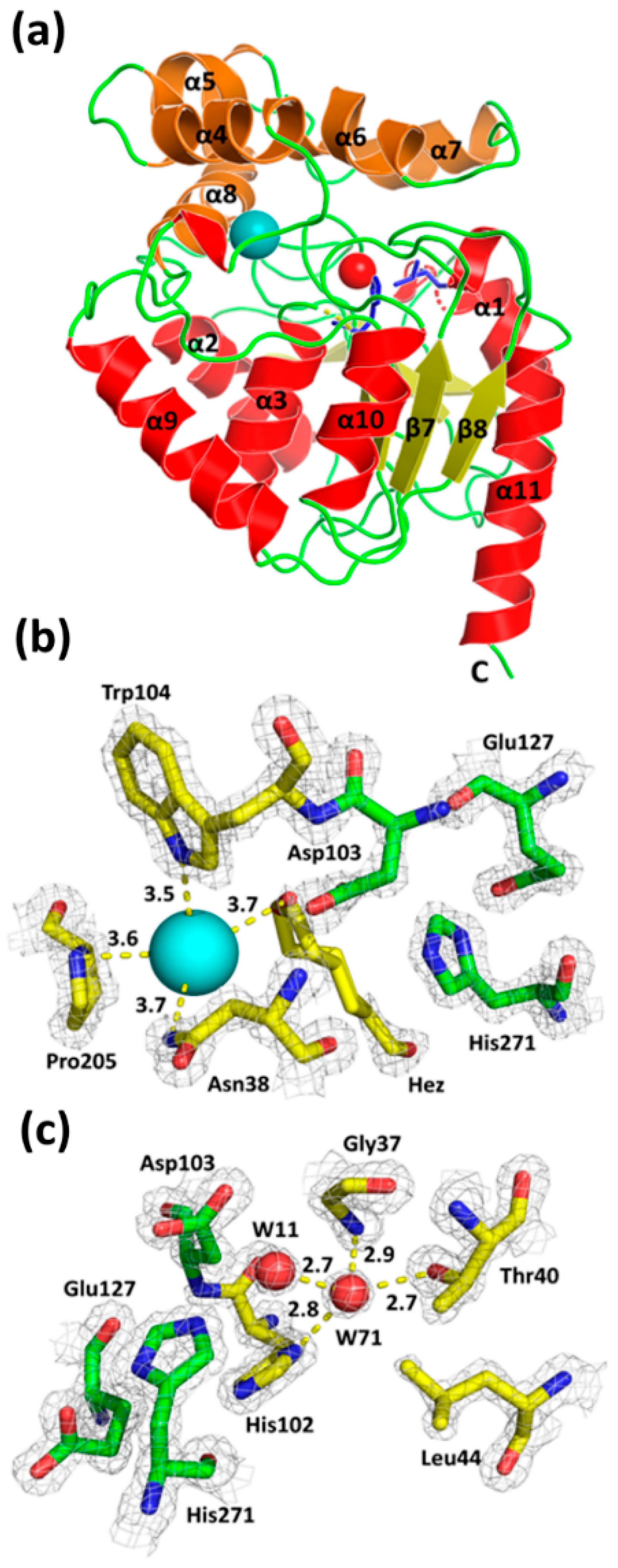 Crystals 09 00375 g003 Crystals 09 00375 g003