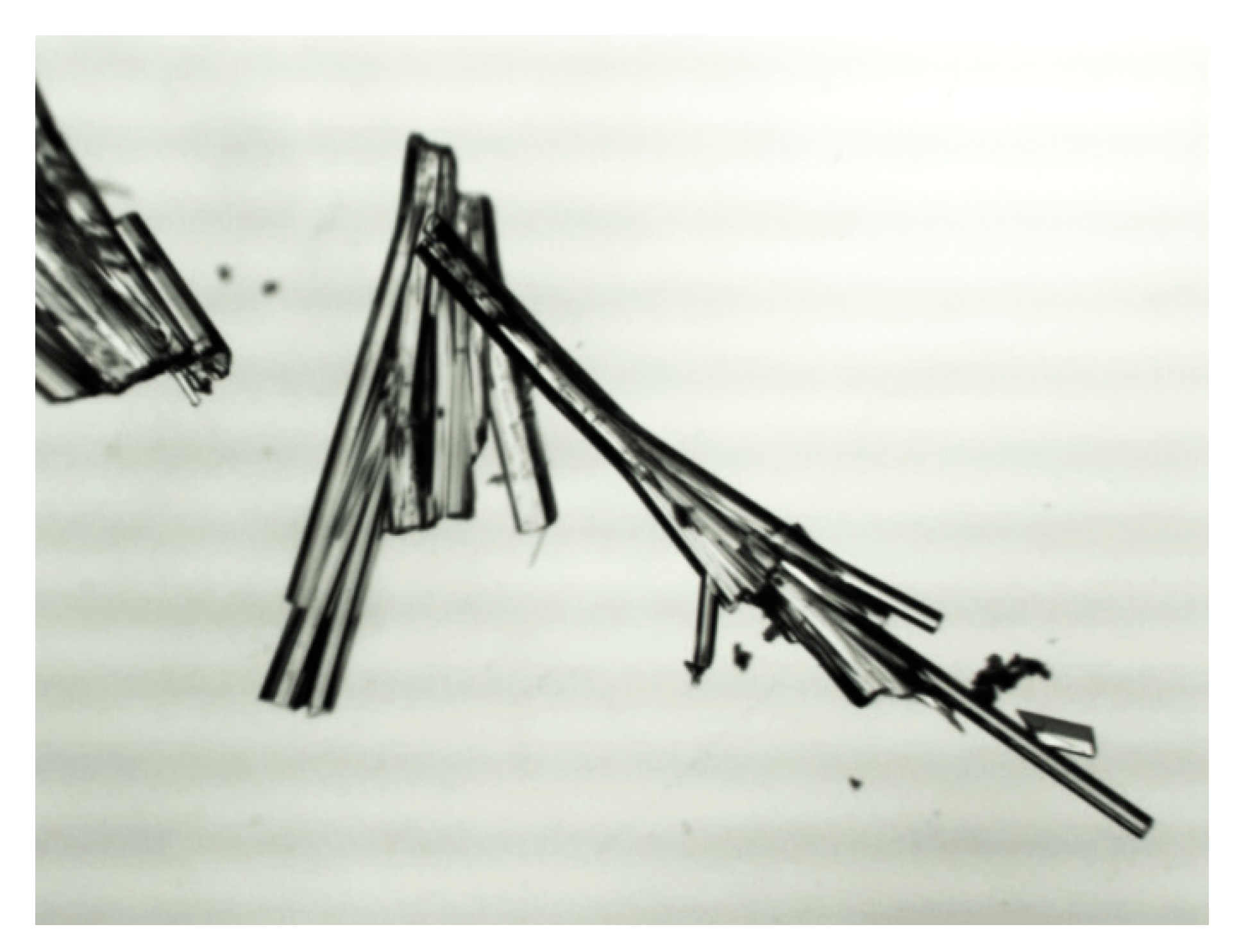 Crystals 09 00379 g010