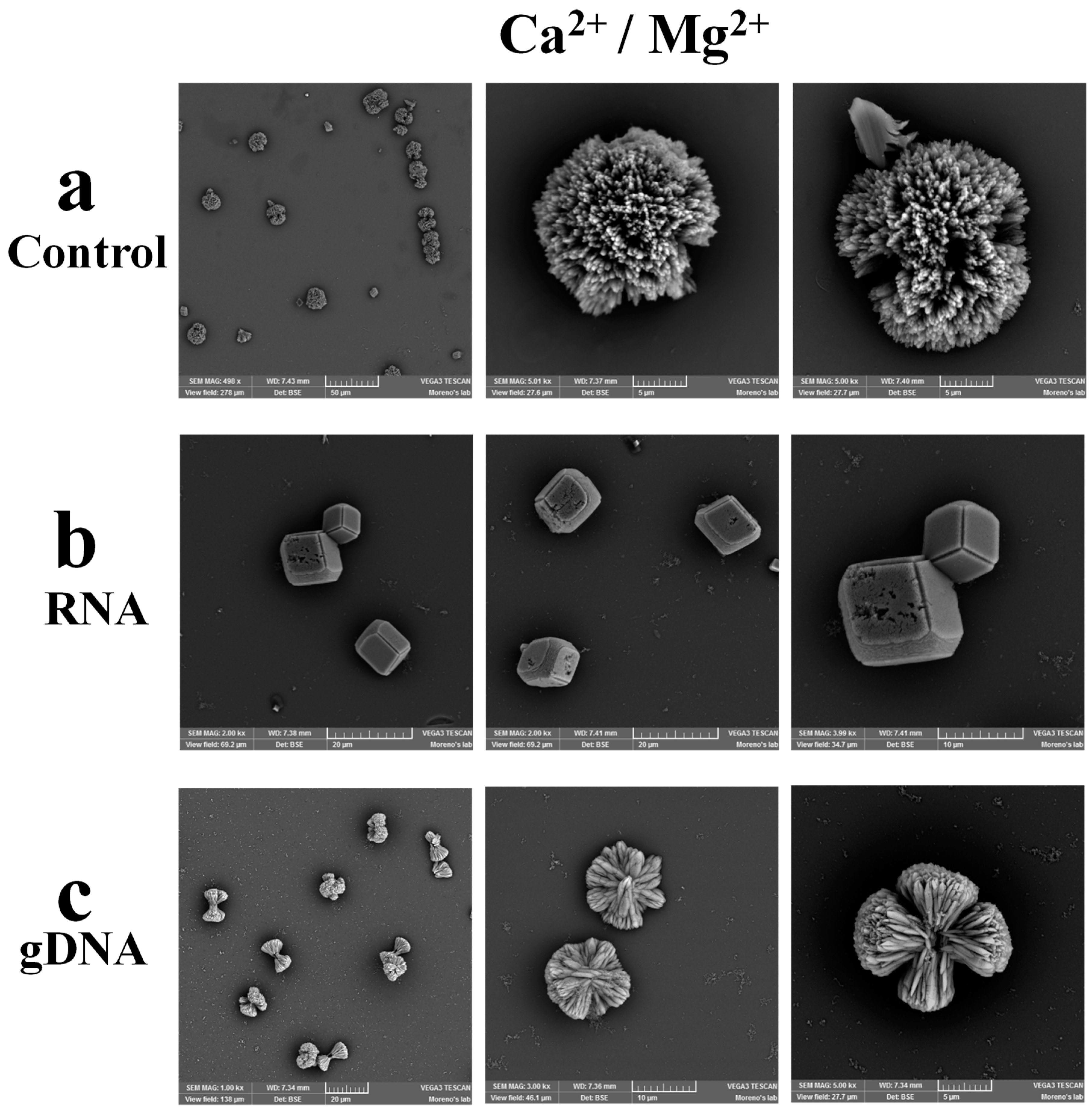 Crystals 09 00381 g002