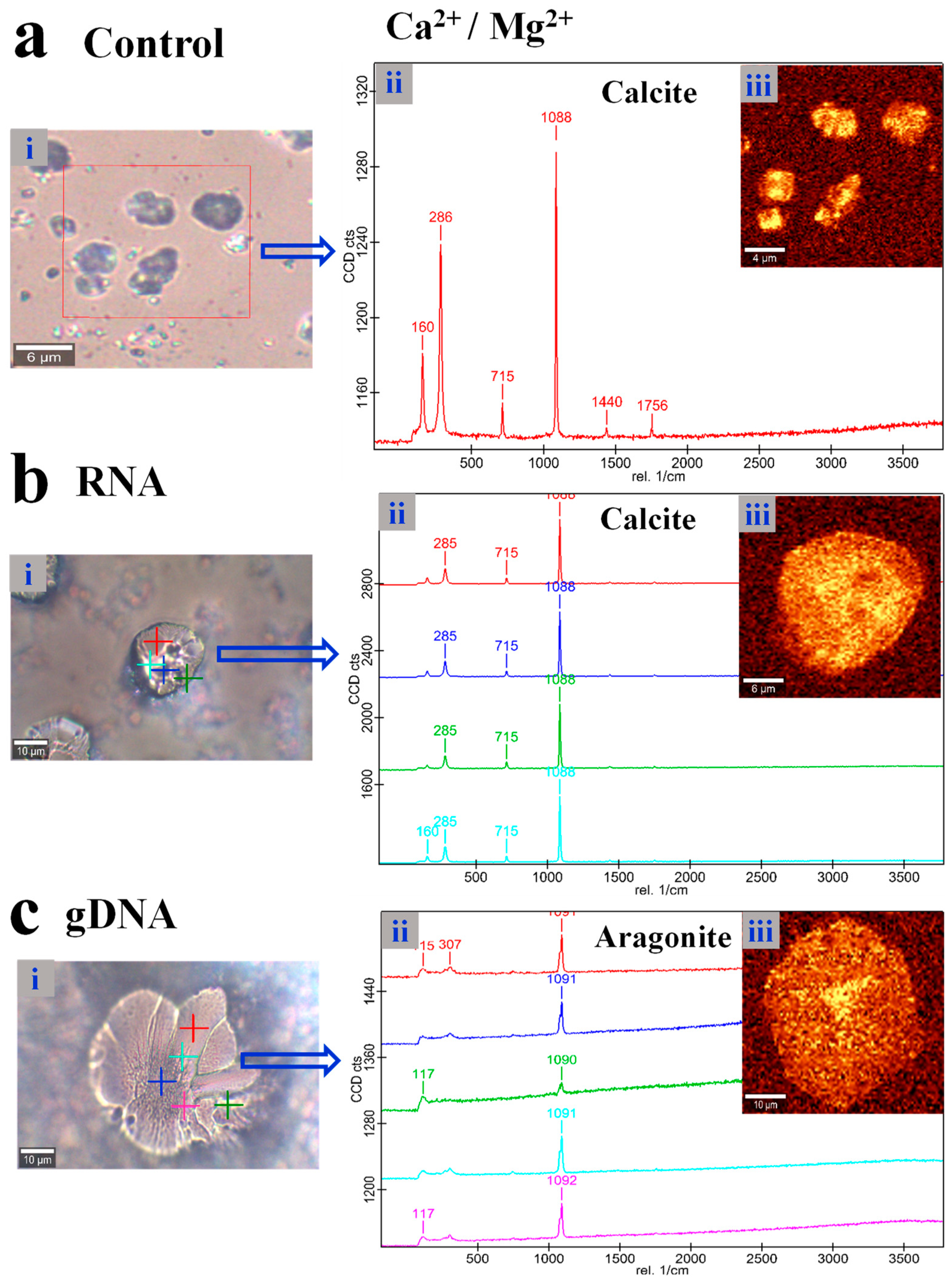 Crystals 09 00381 g003