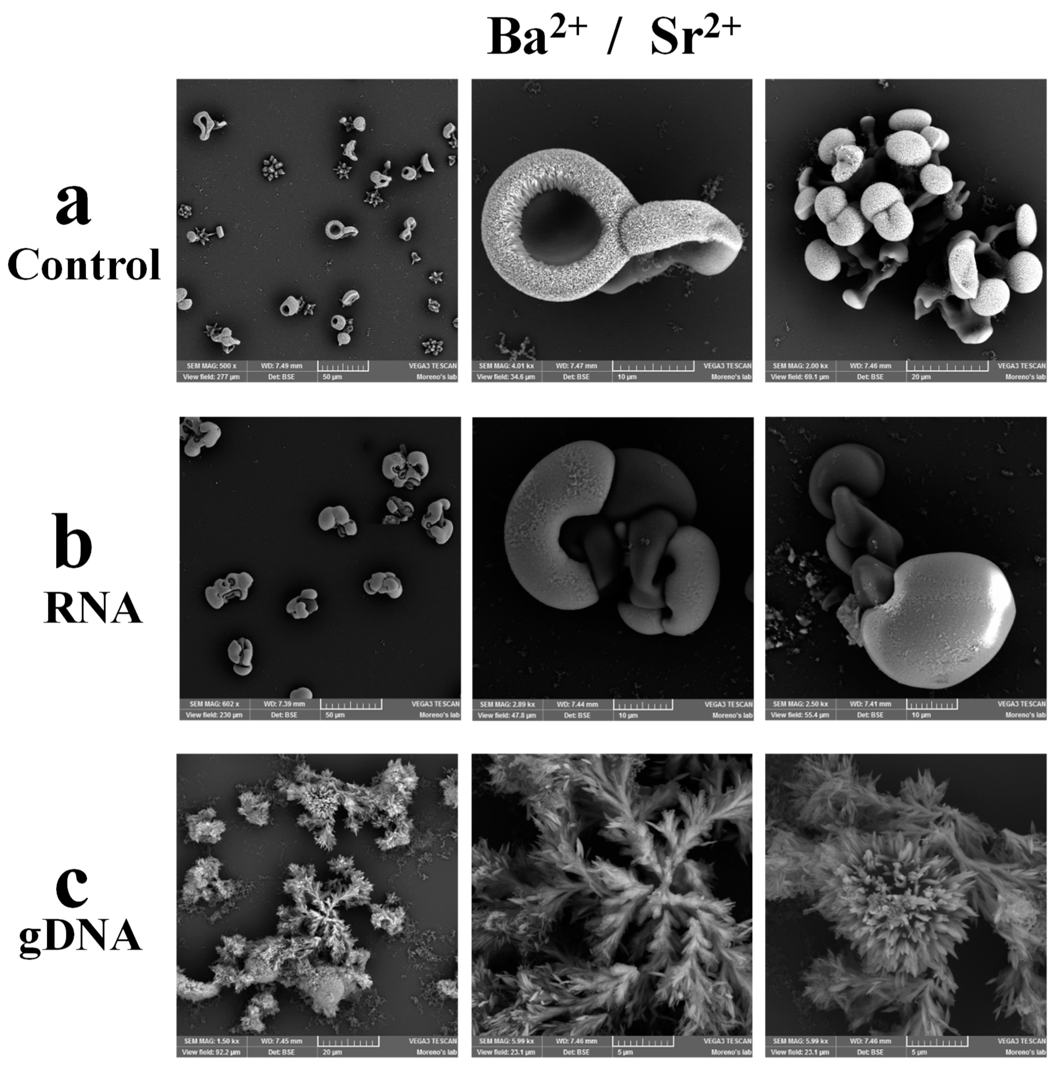 Crystals 09 00381 g004