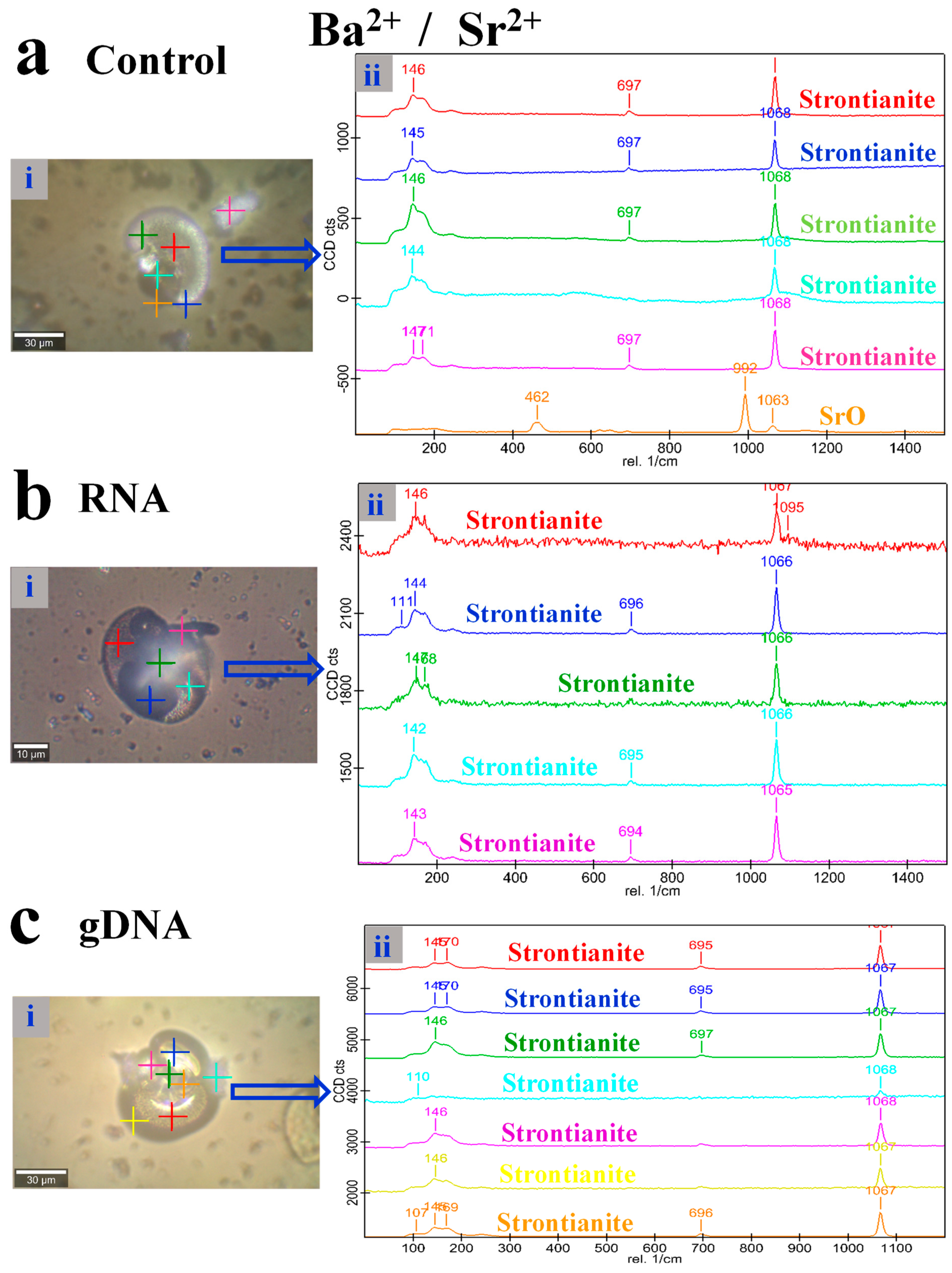 Crystals 09 00381 g005