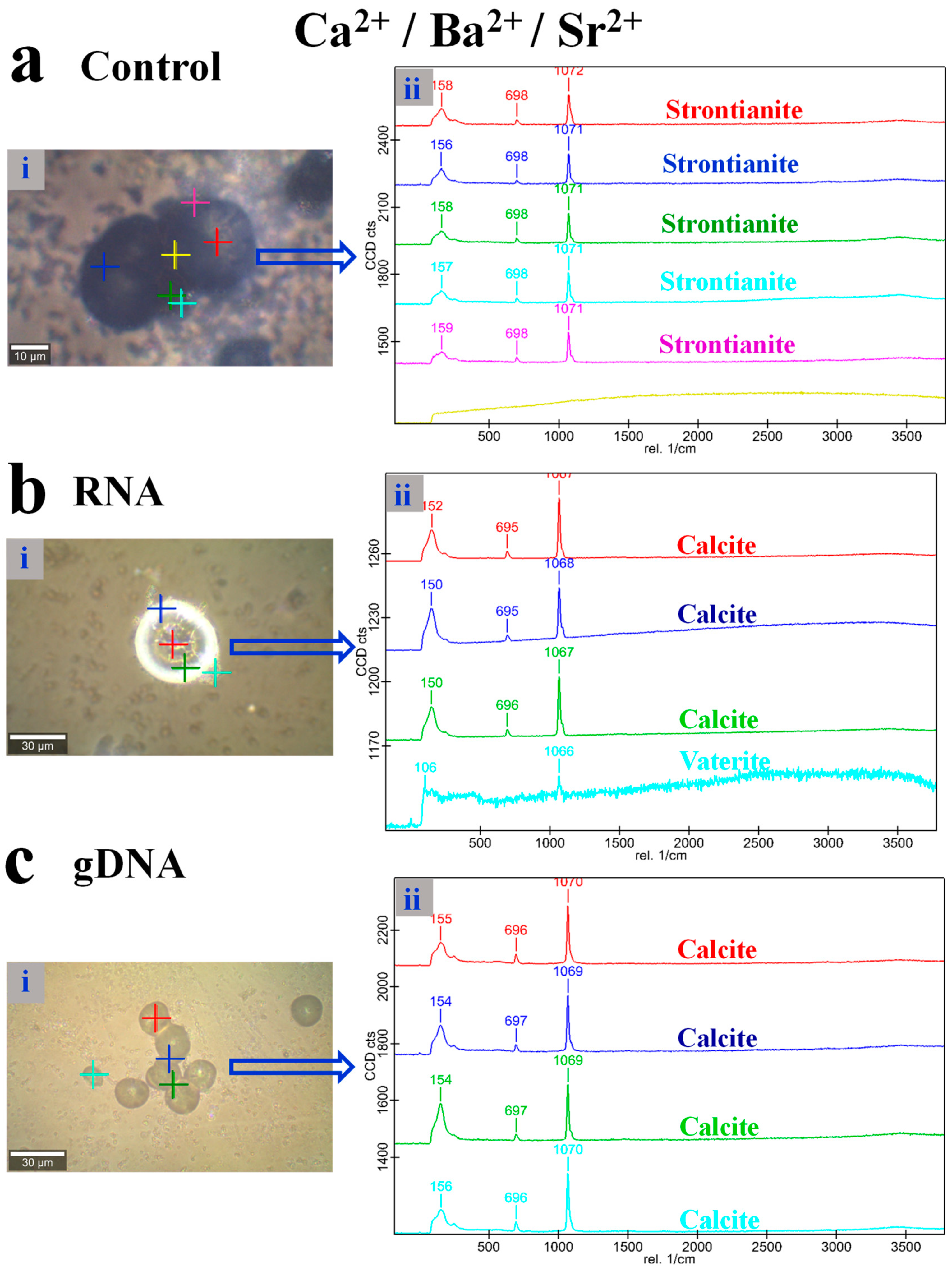Crystals 09 00381 g007